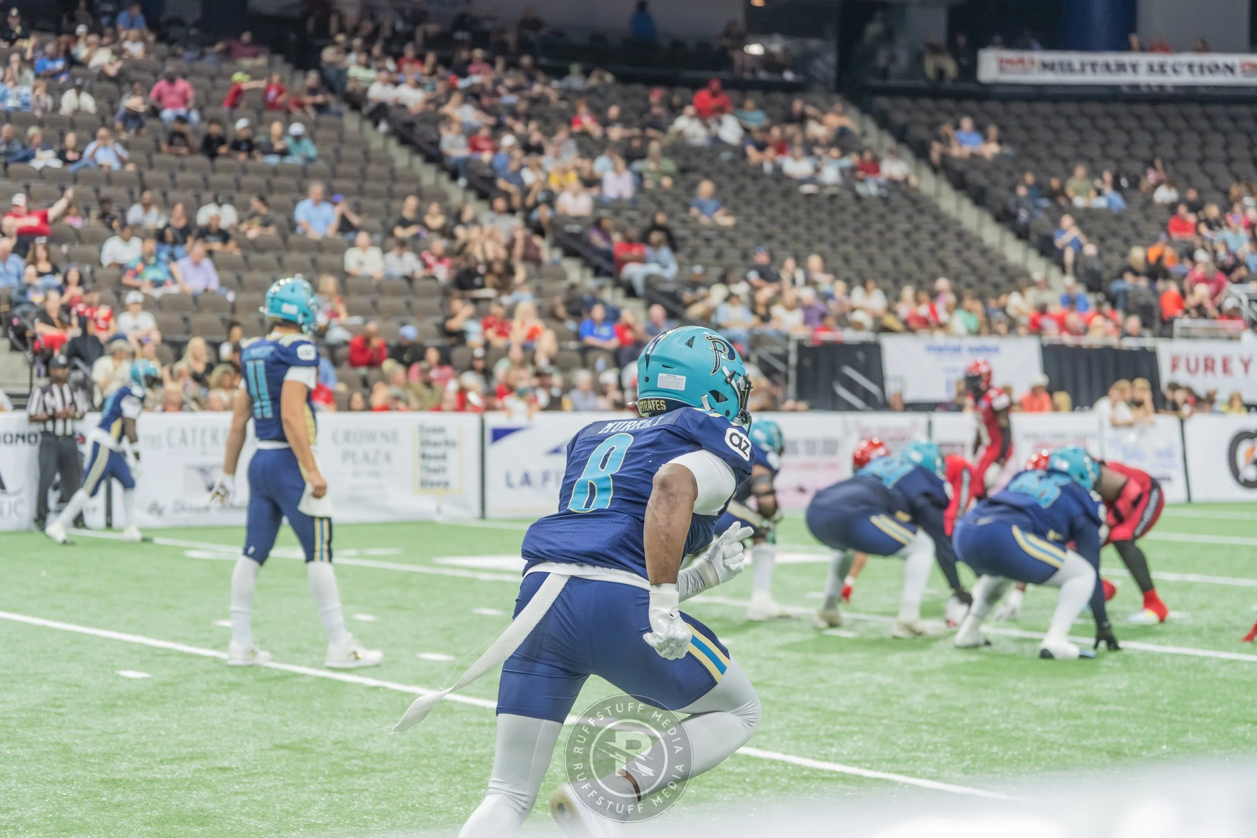 Sharks 260417-394.JPG