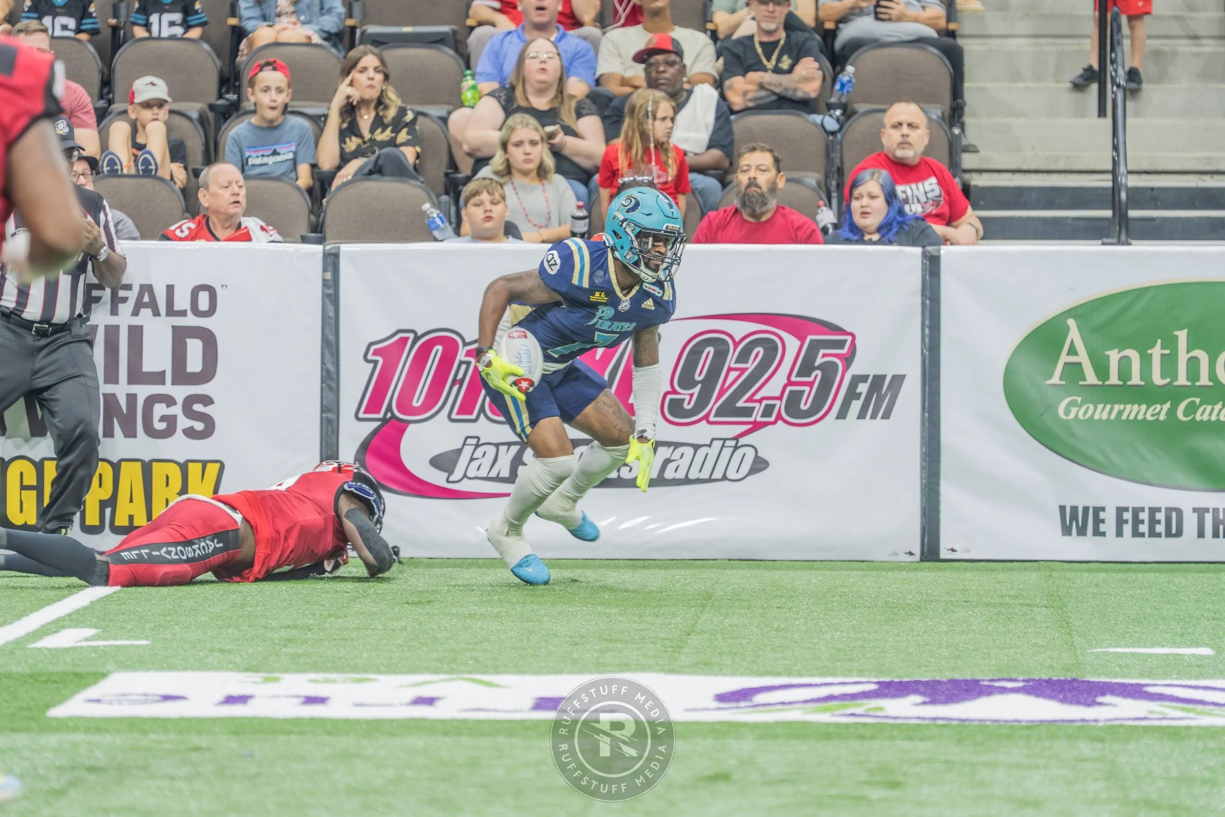 Sharks 260417-123.JPG