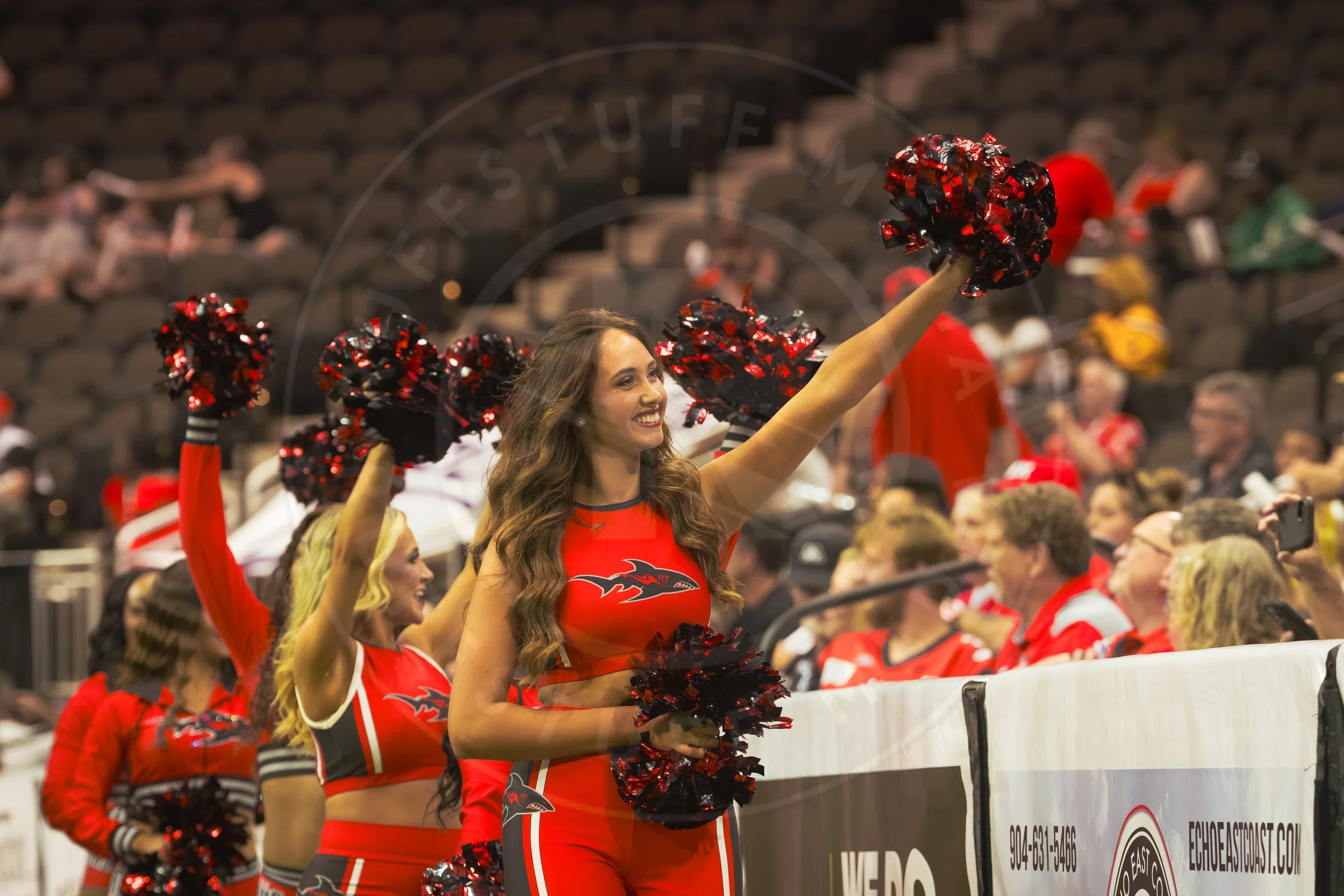 Sharks 260801-11.JPG