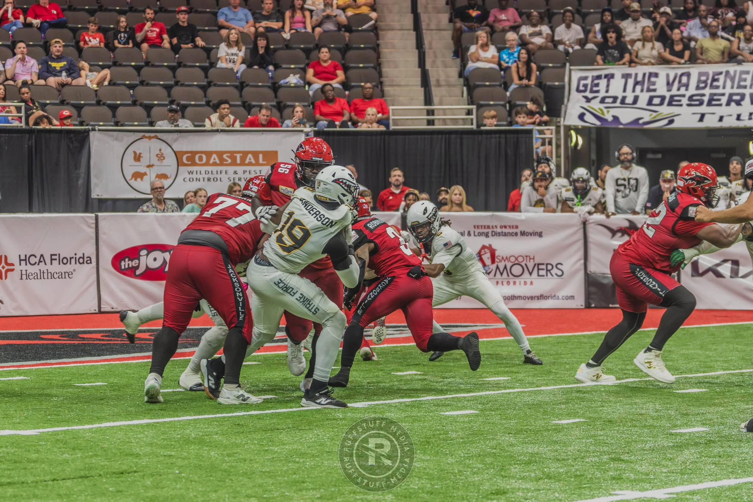 Sharks 260628-491.JPG