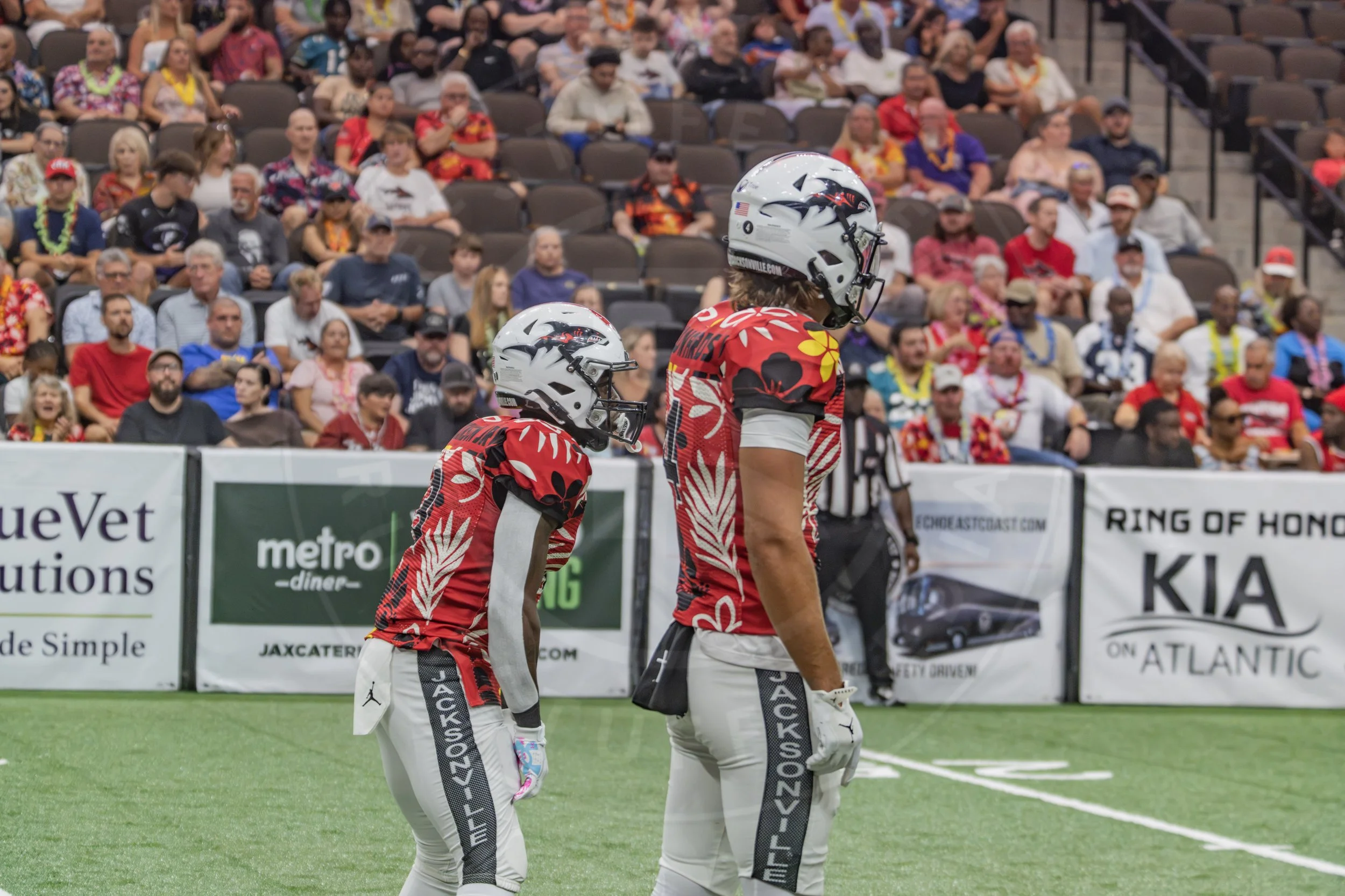 Sharks 260718-120.JPG