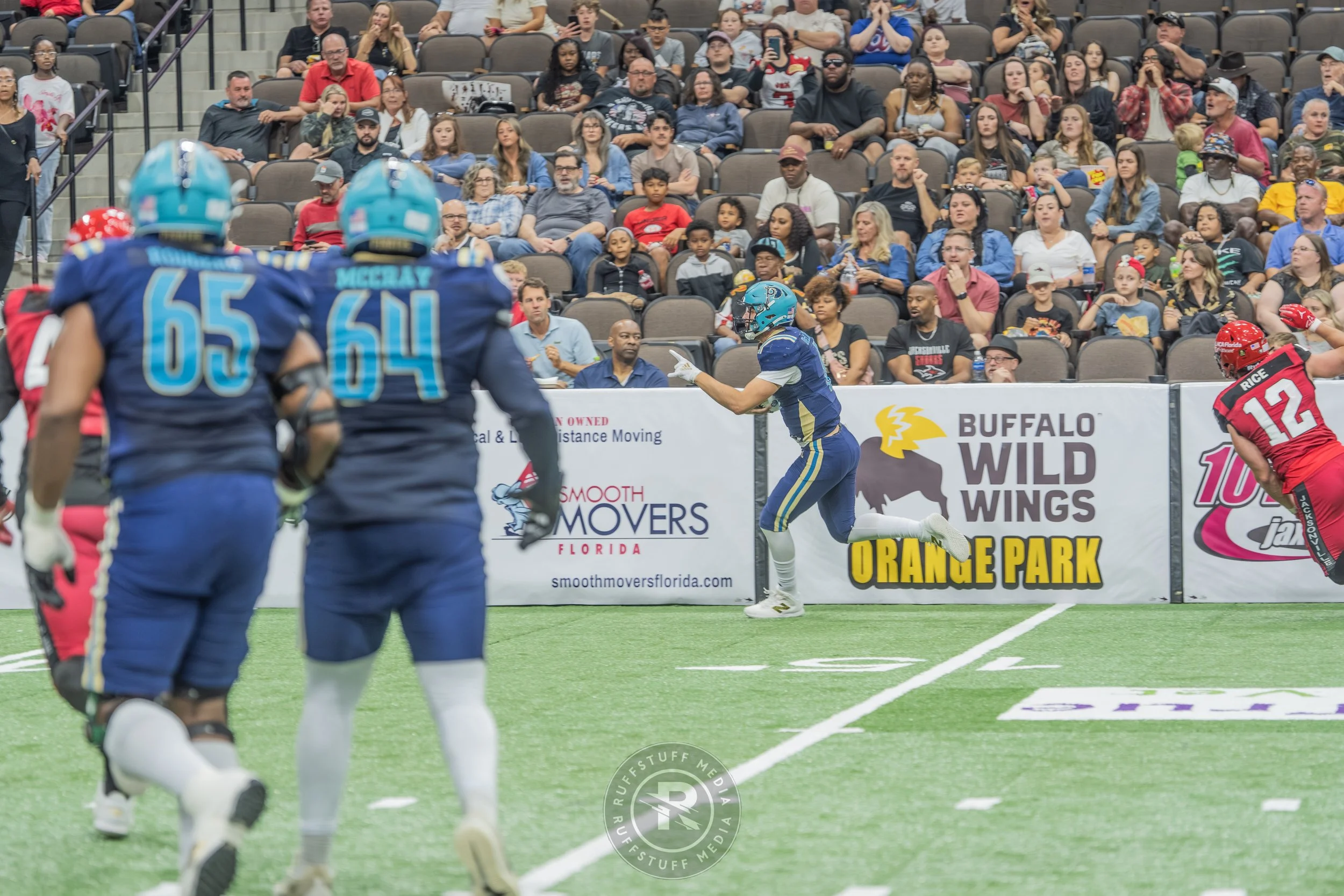 Sharks 260417-234.JPG