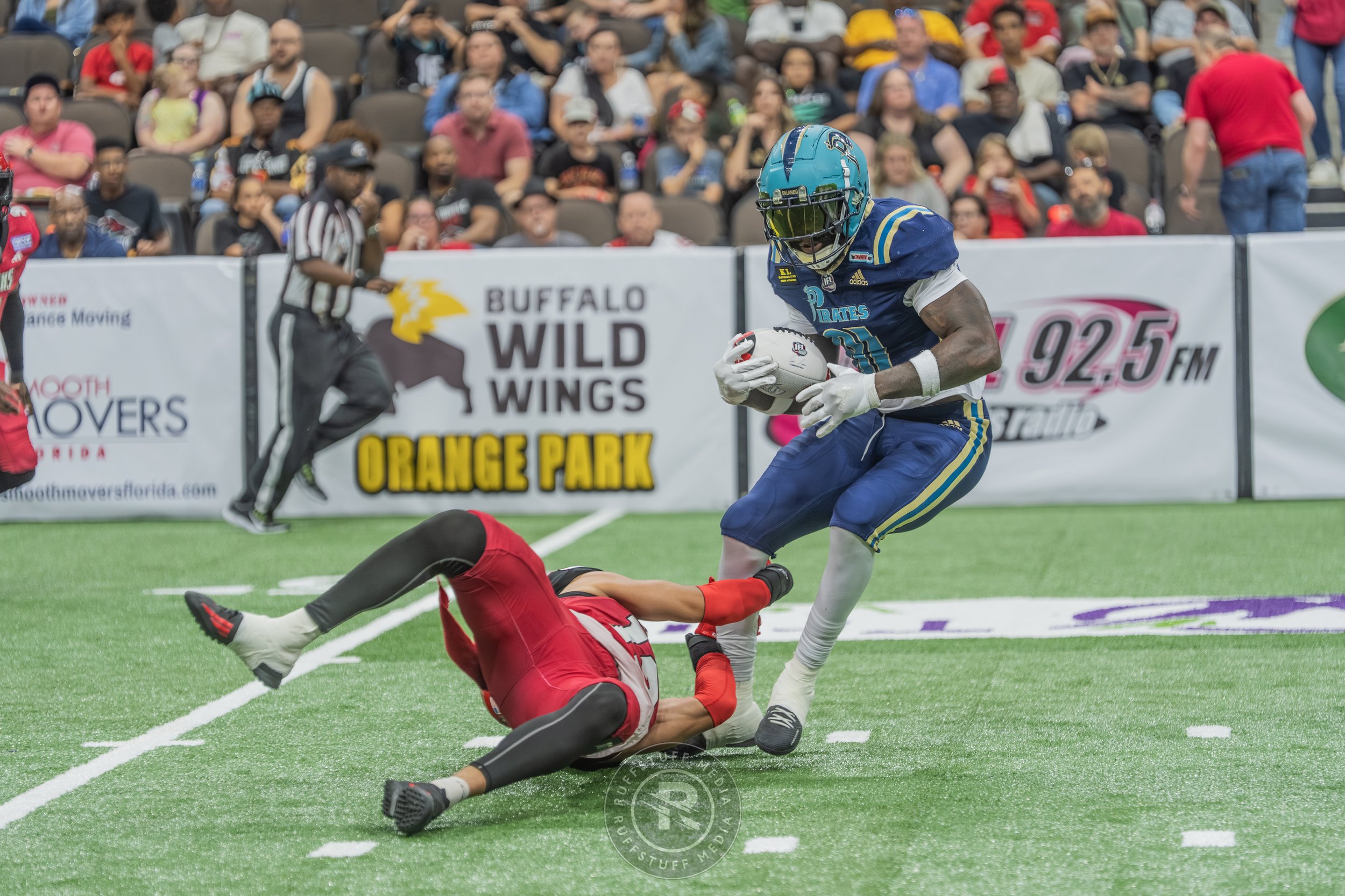 Sharks 260417-348.JPG