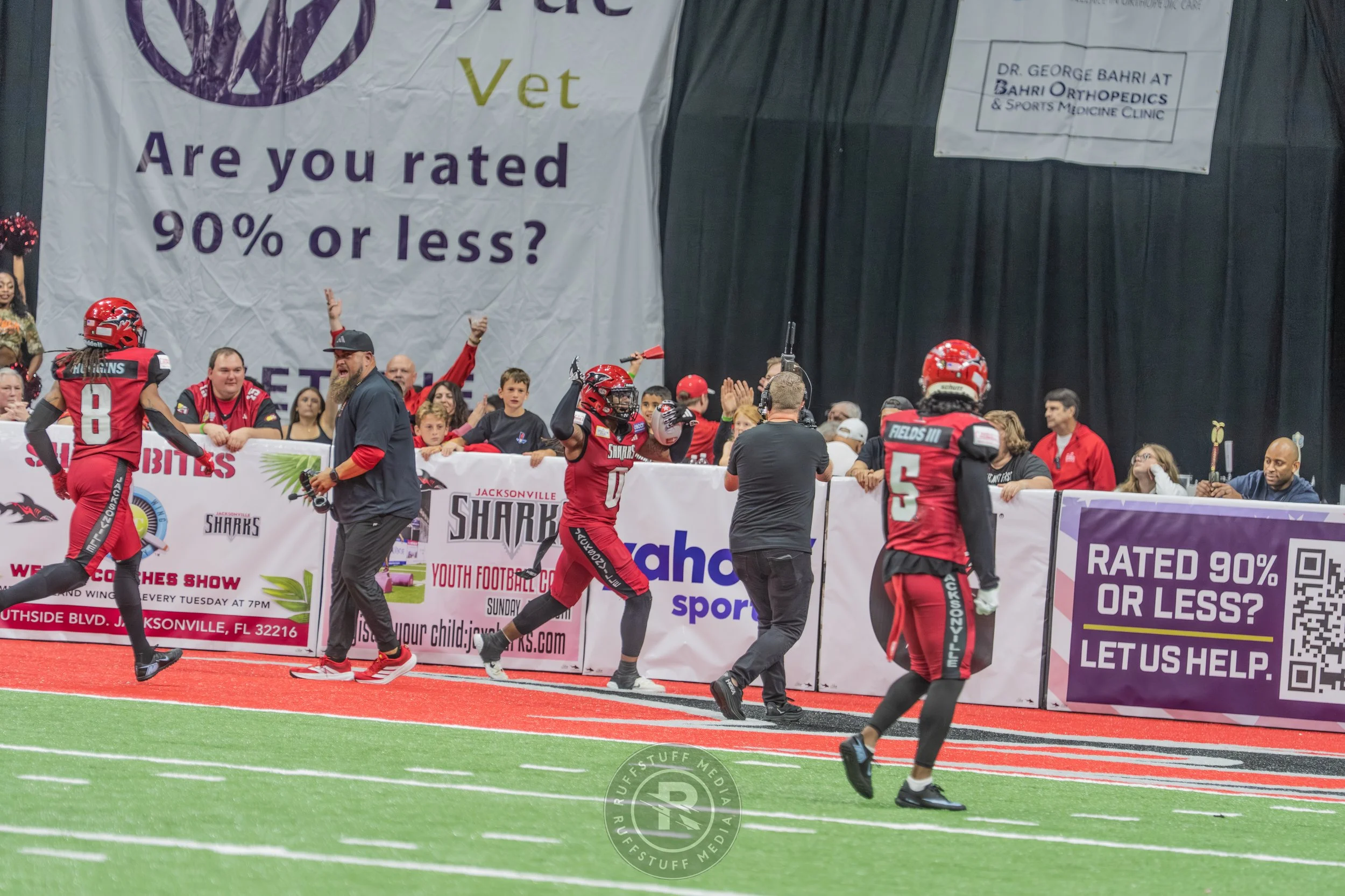 Sharks 260417-535.JPG