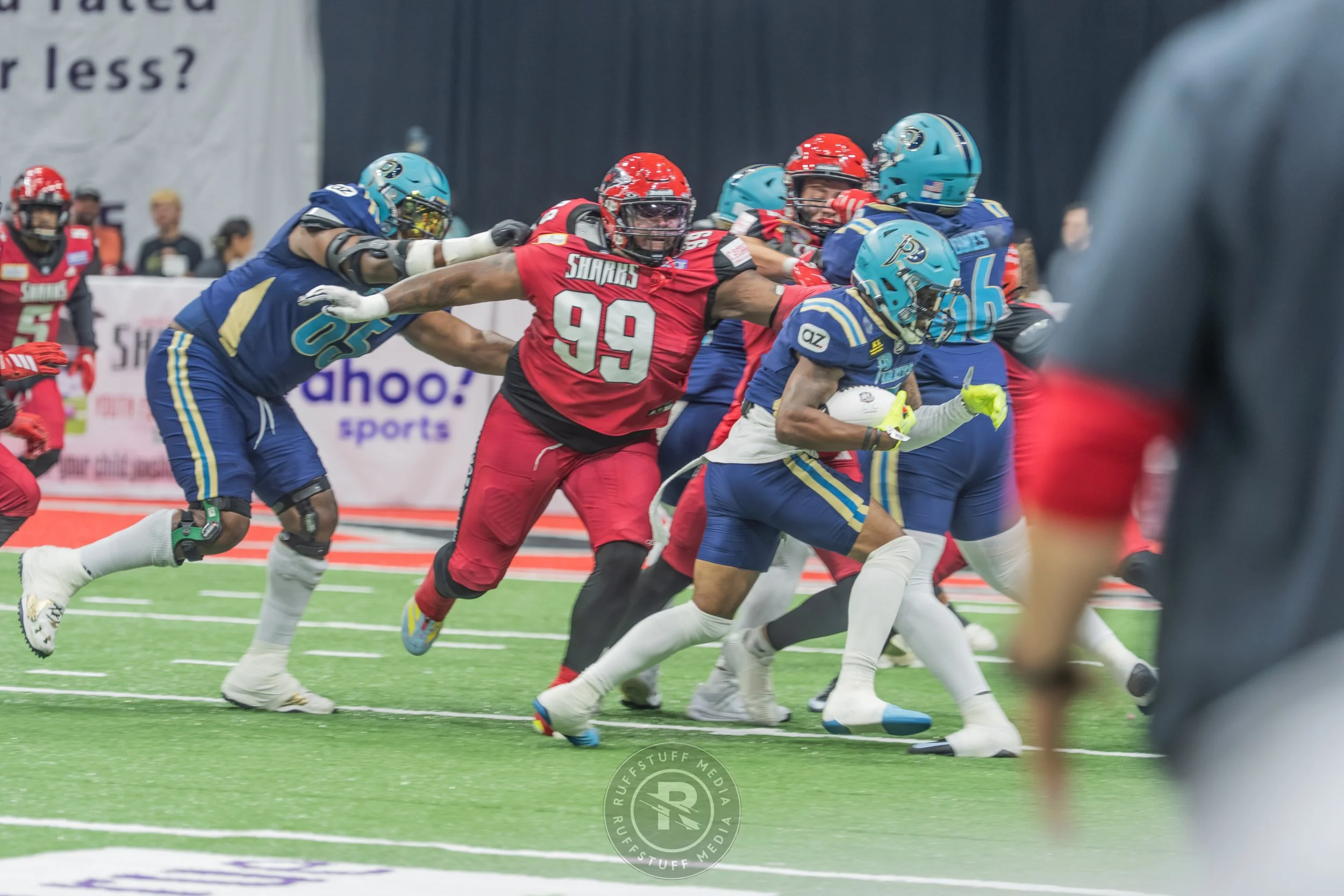 Sharks 260417-133.JPG