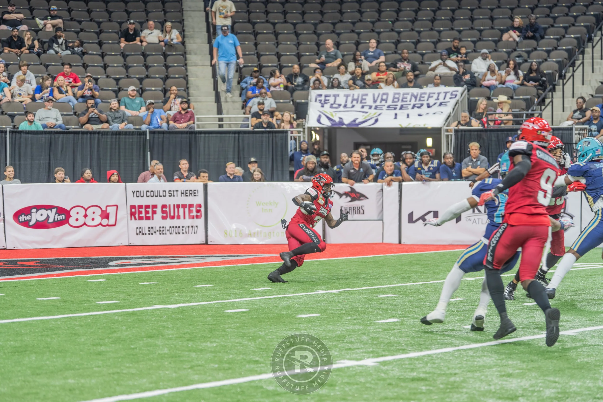 Sharks 260417-161.JPG