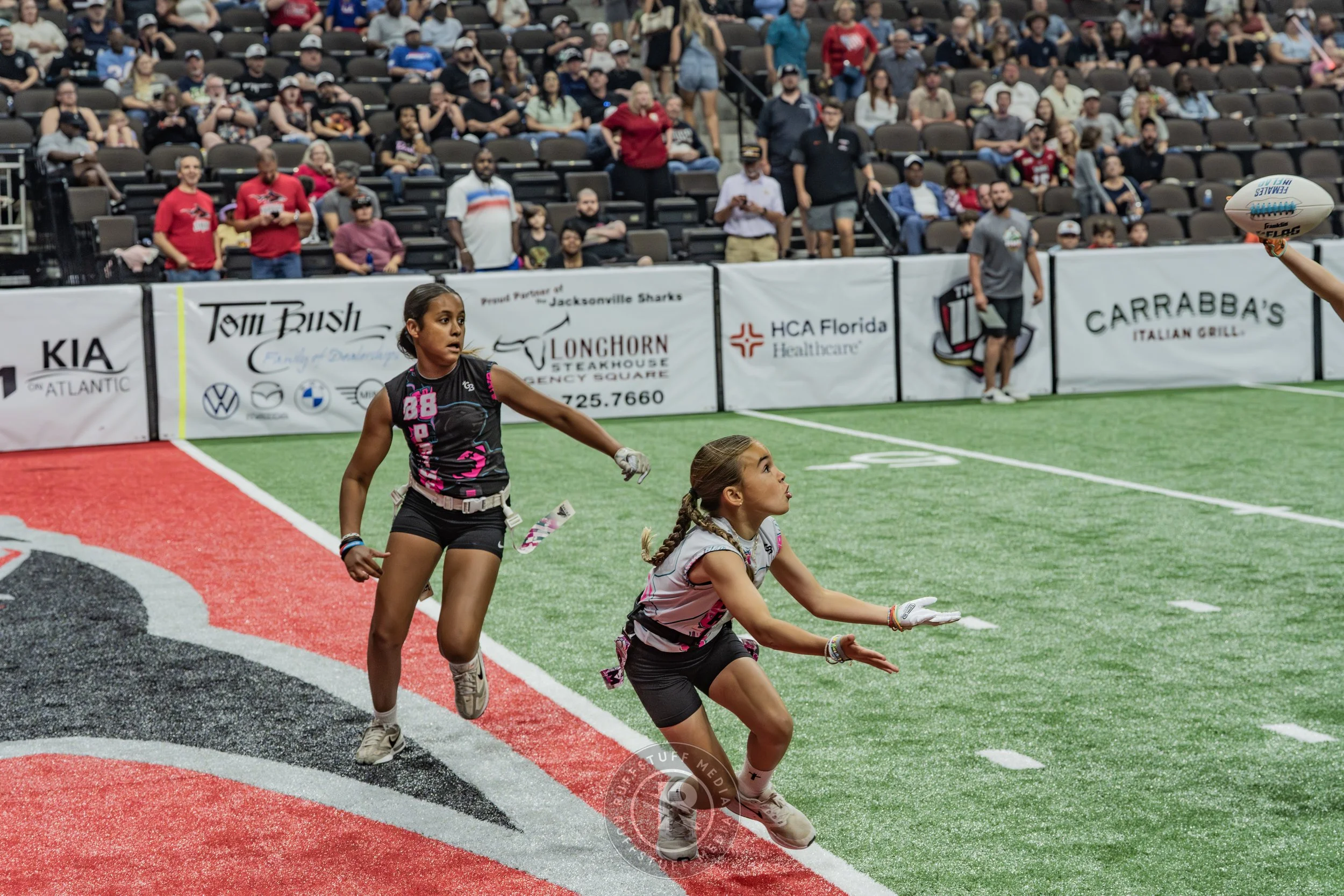 Sharks 260530-374.JPG