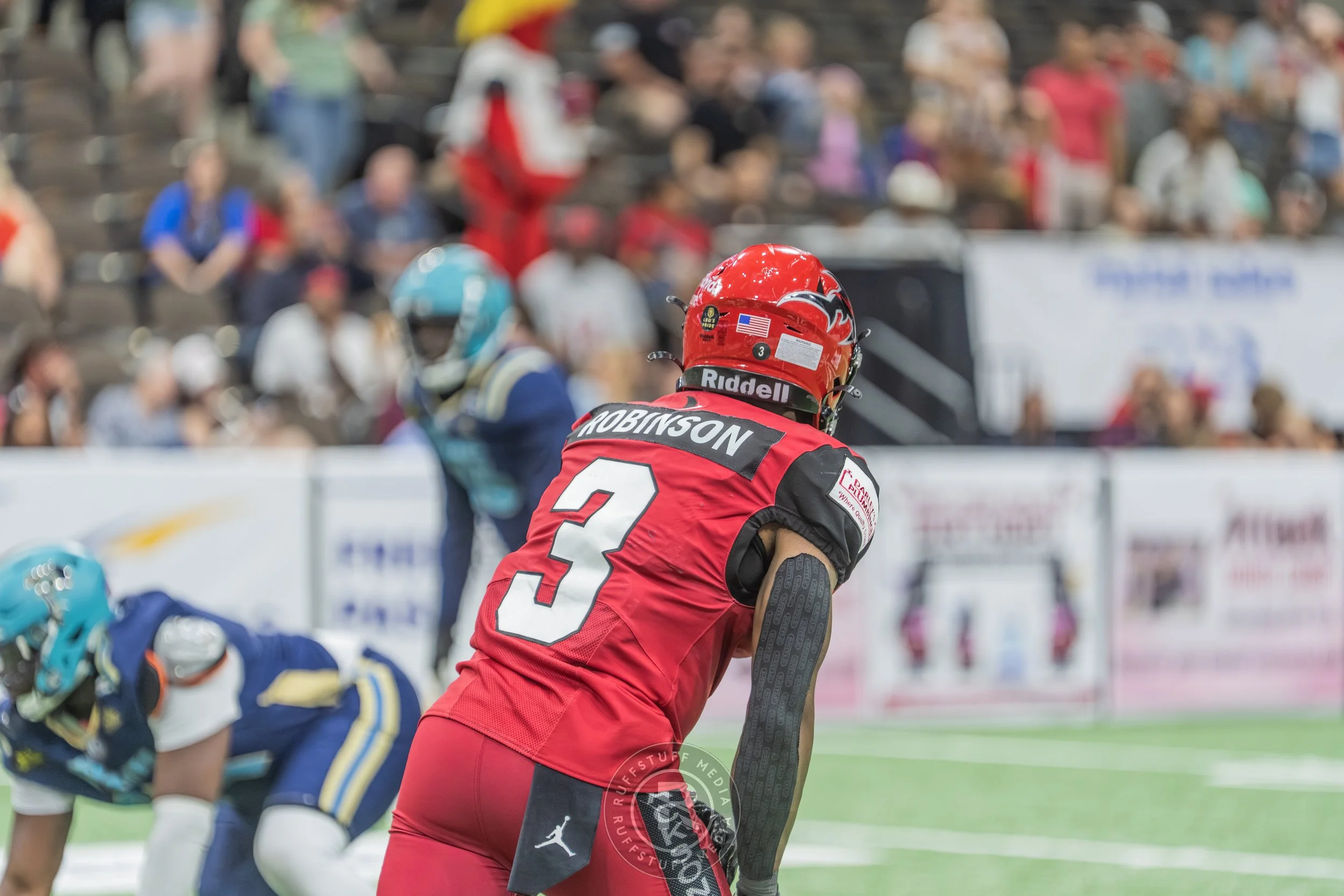 Sharks 260417-493.JPG