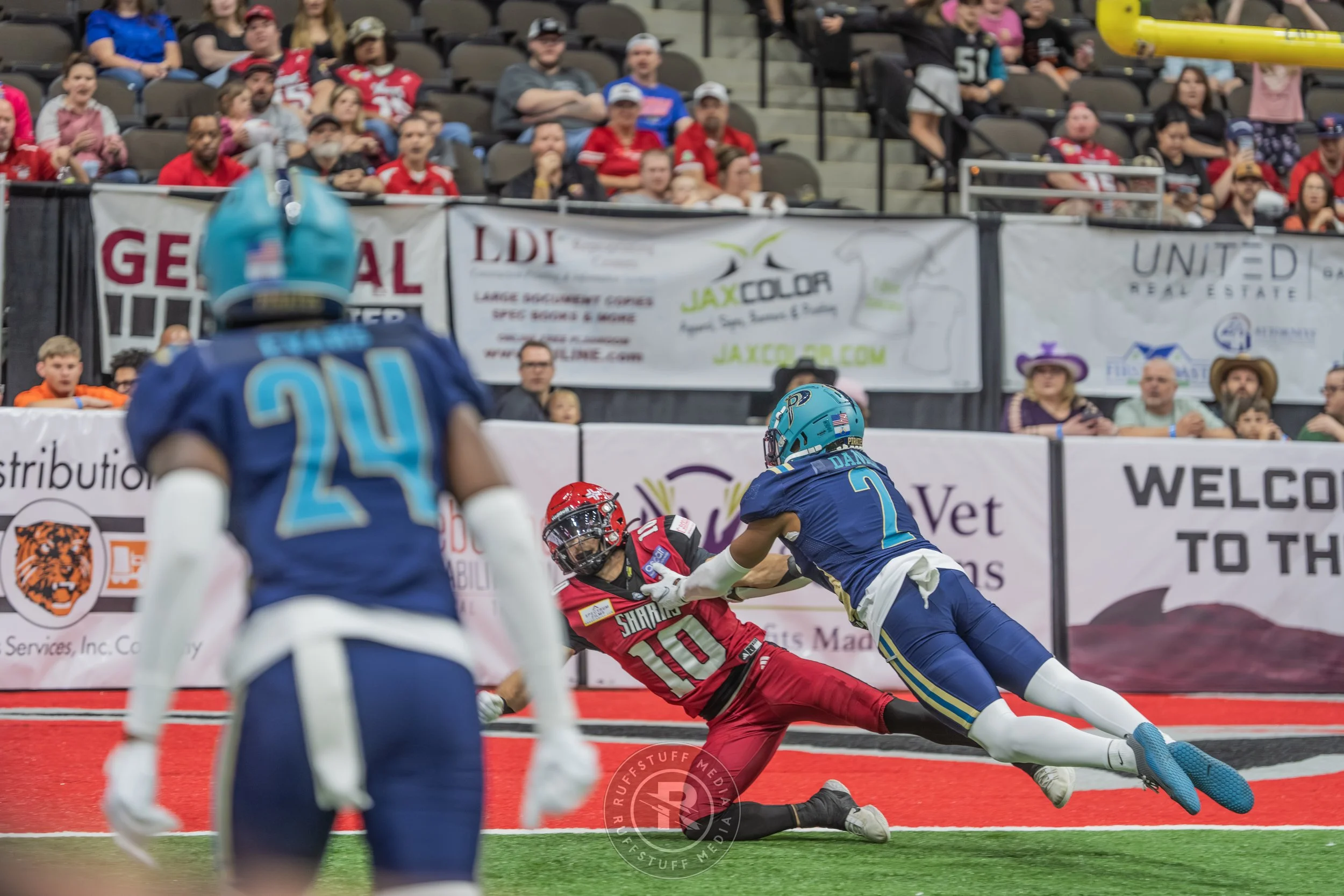 Sharks 260417-379.JPG