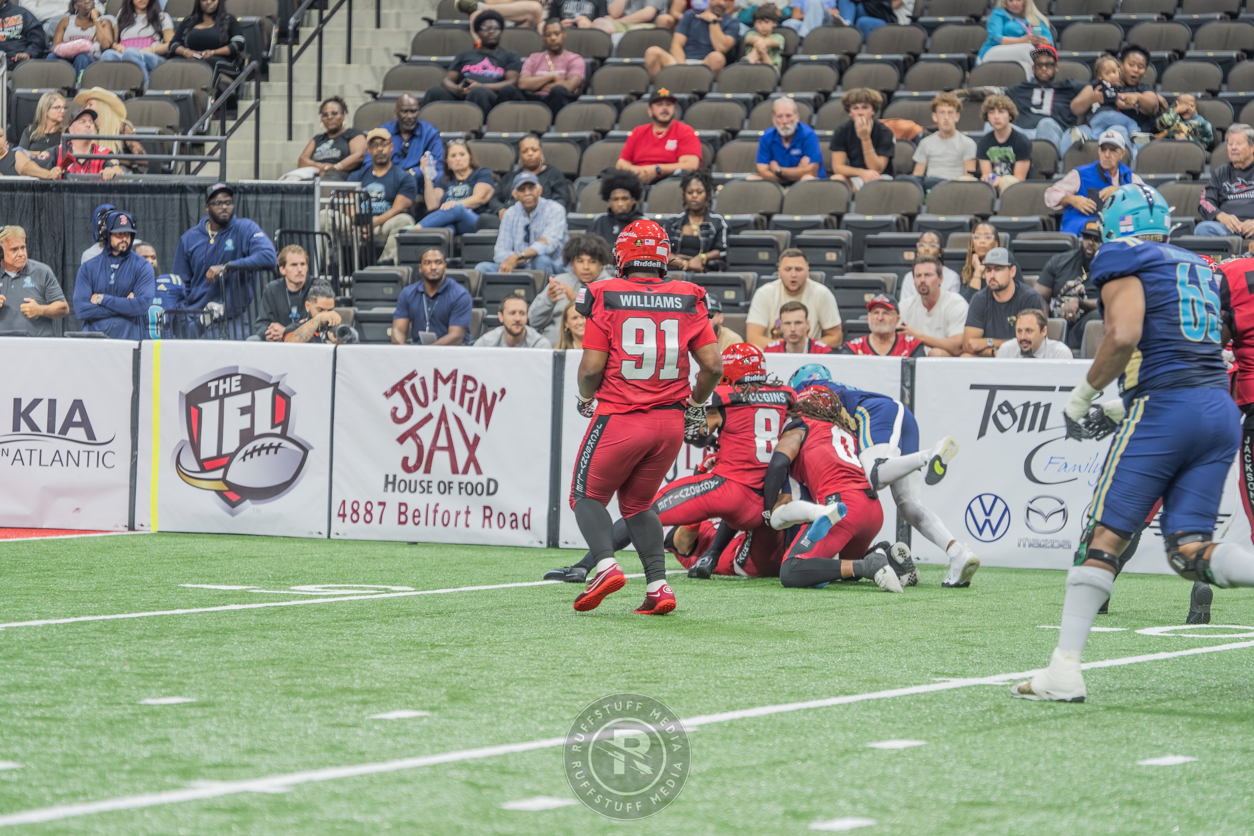 Sharks 260417-189.JPG