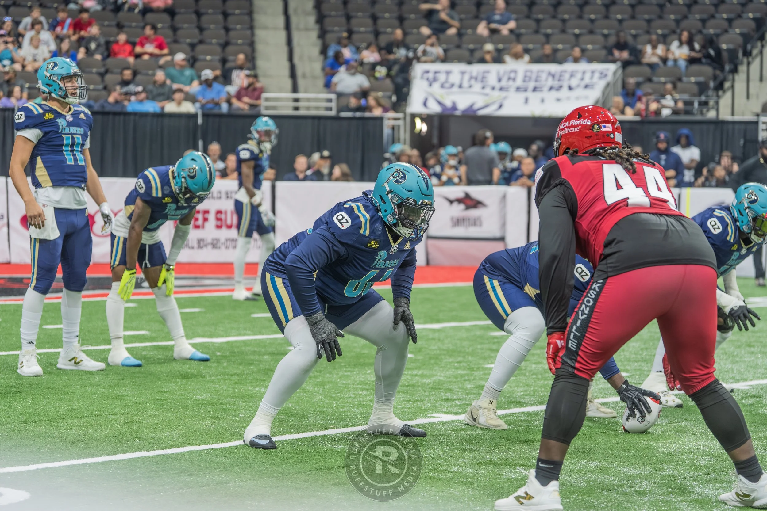 Sharks 260417-110.JPG