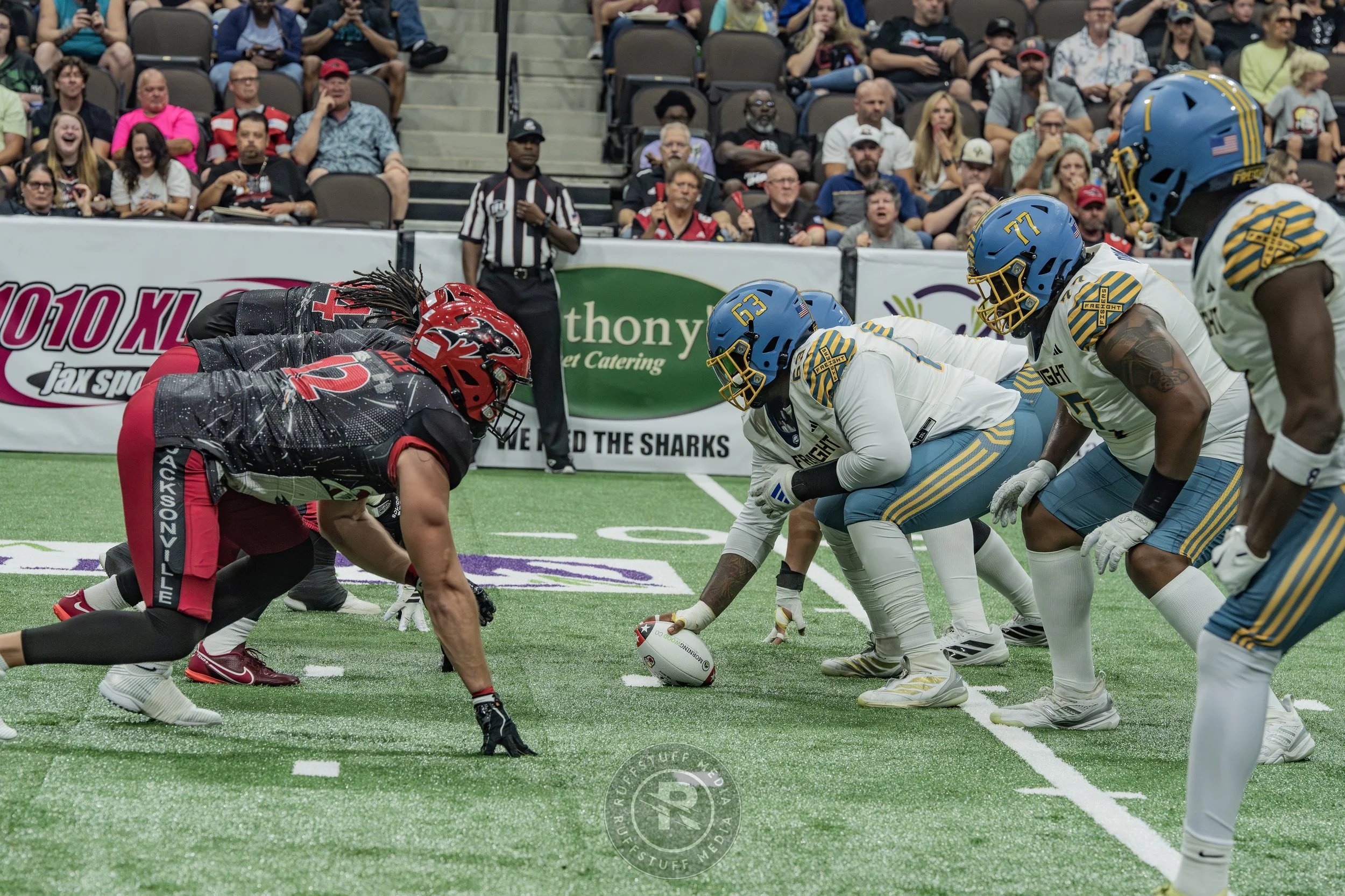 Sharks 260530-320.JPG