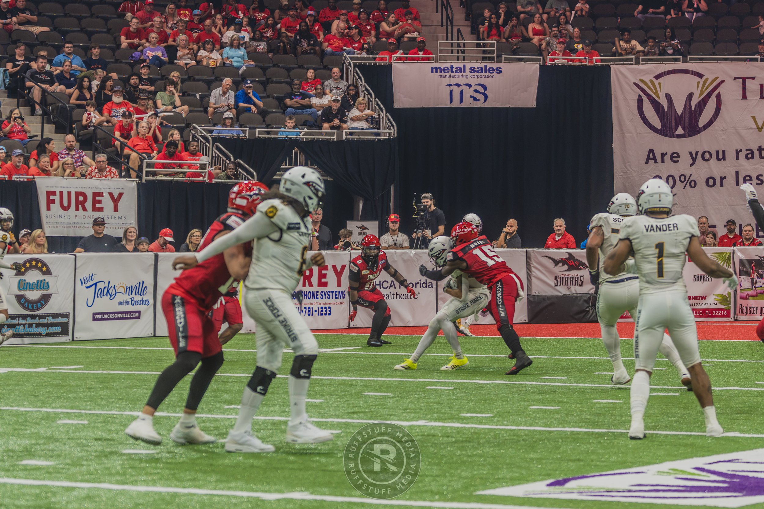 Sharks 260628-168.JPG