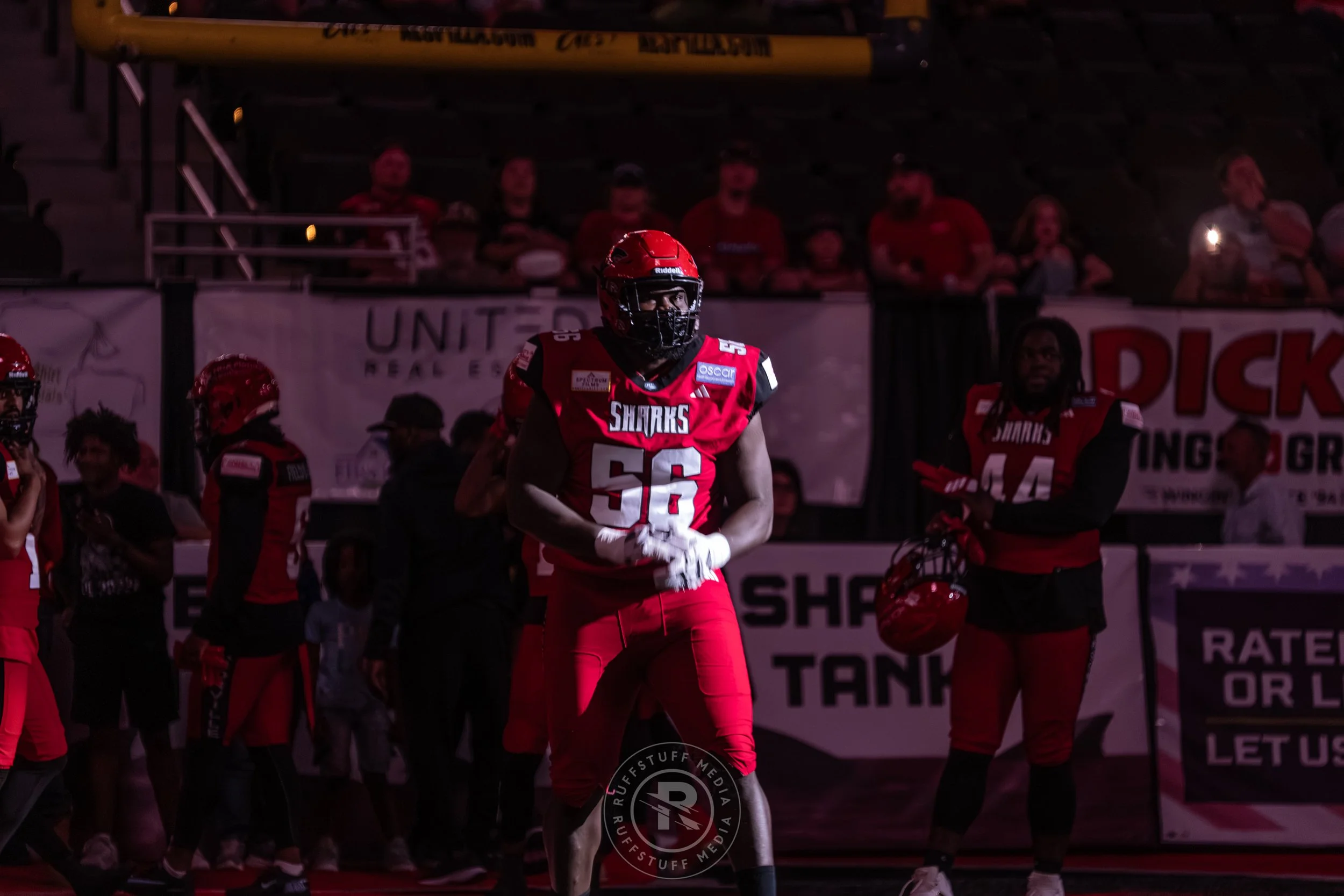 Sharks 260417-78.JPG