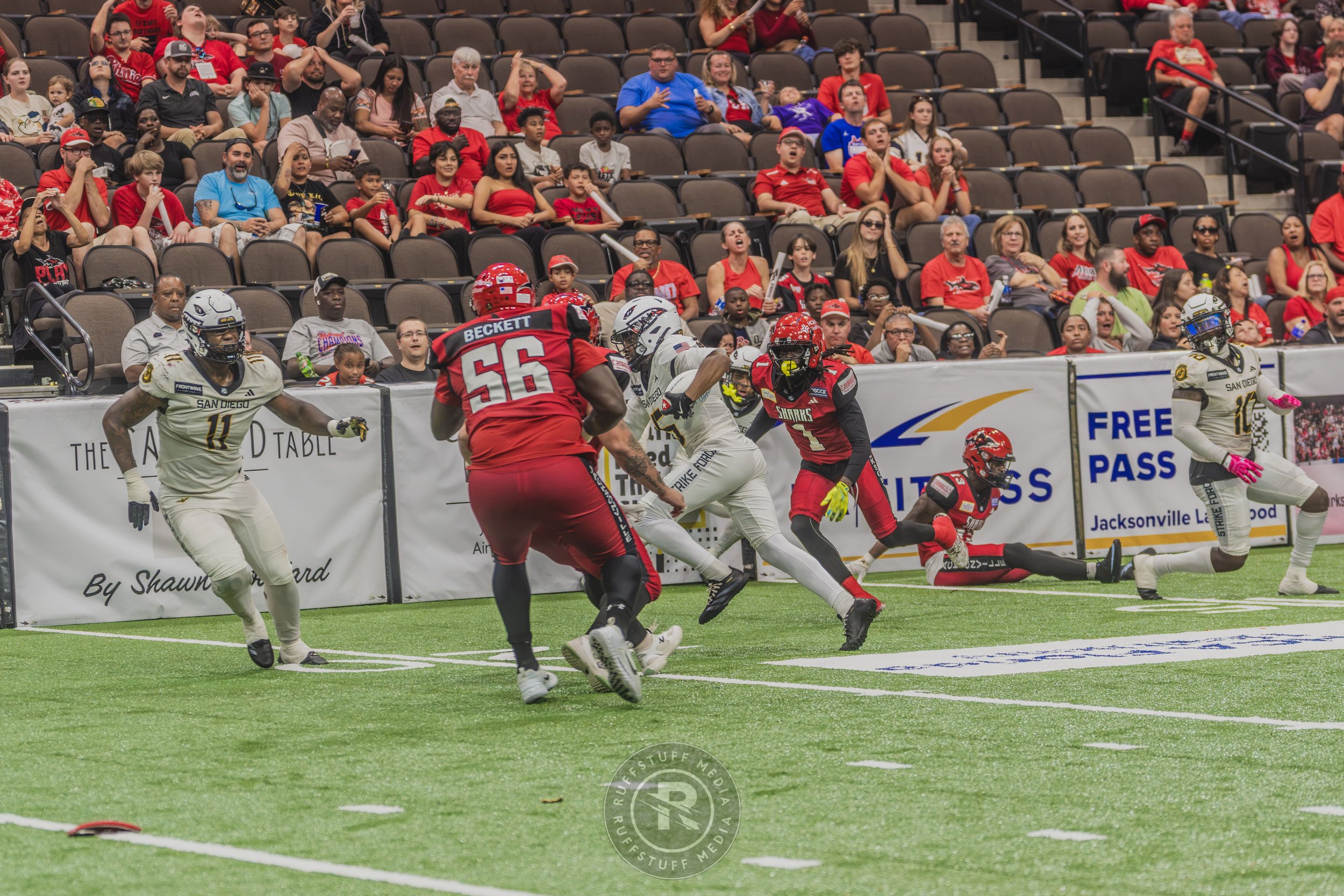 Sharks 260628-543.JPG