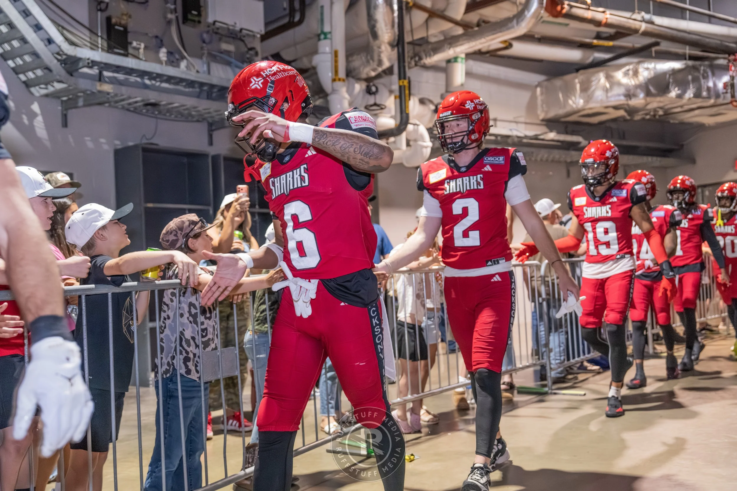 Sharks 260417-29_resize.JPG