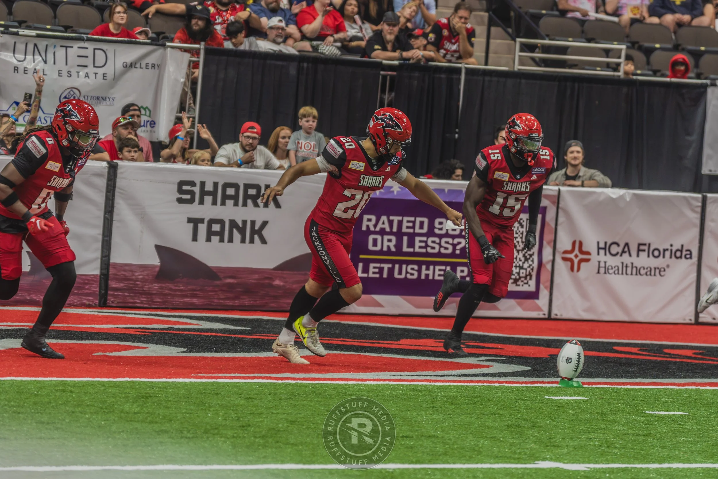 Sharks 260628-181.JPG