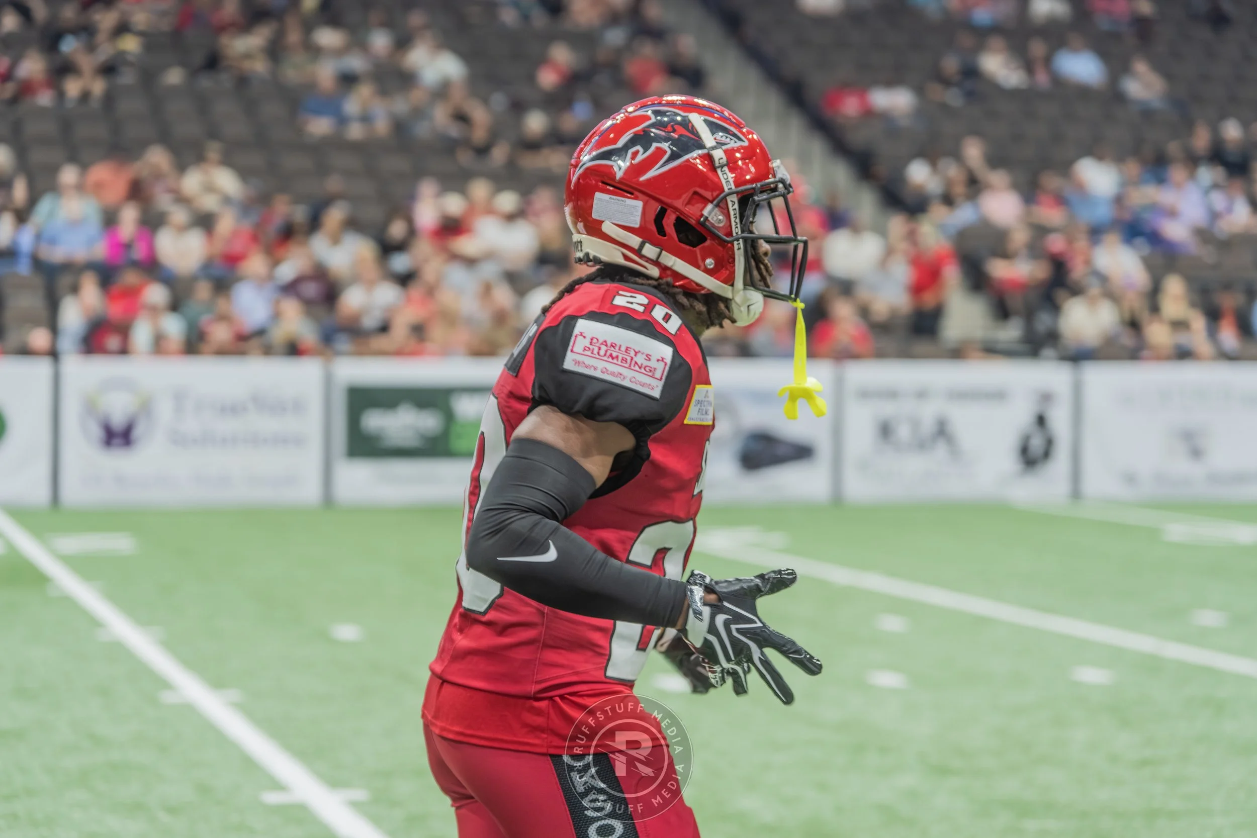 Sharks 260417-108.JPG