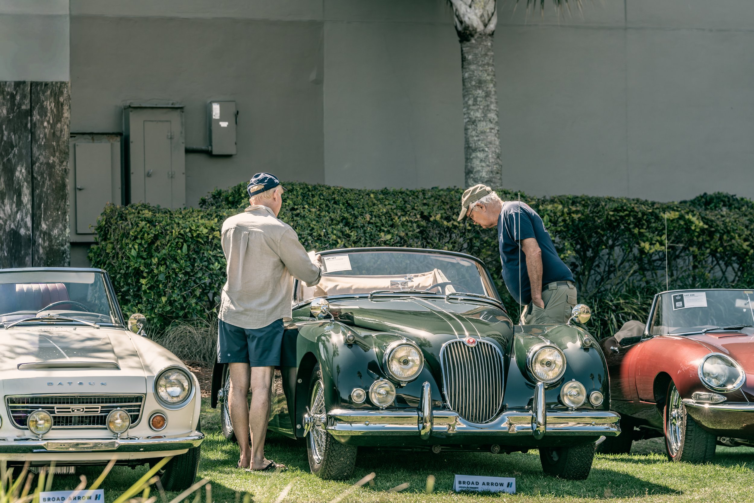 IG-Amelia 260305-45_resize.JPG