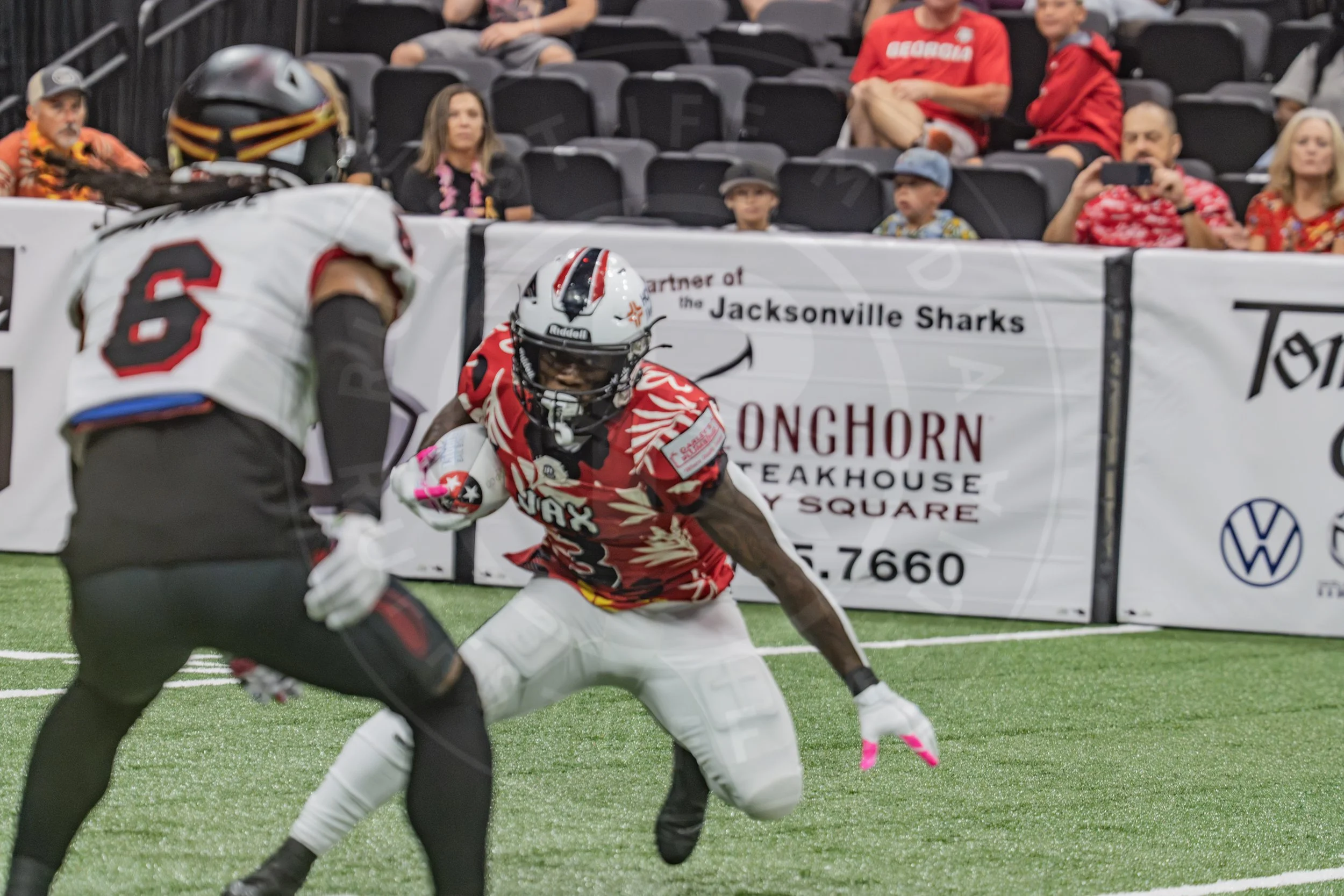 Sharks 260718-101.JPG