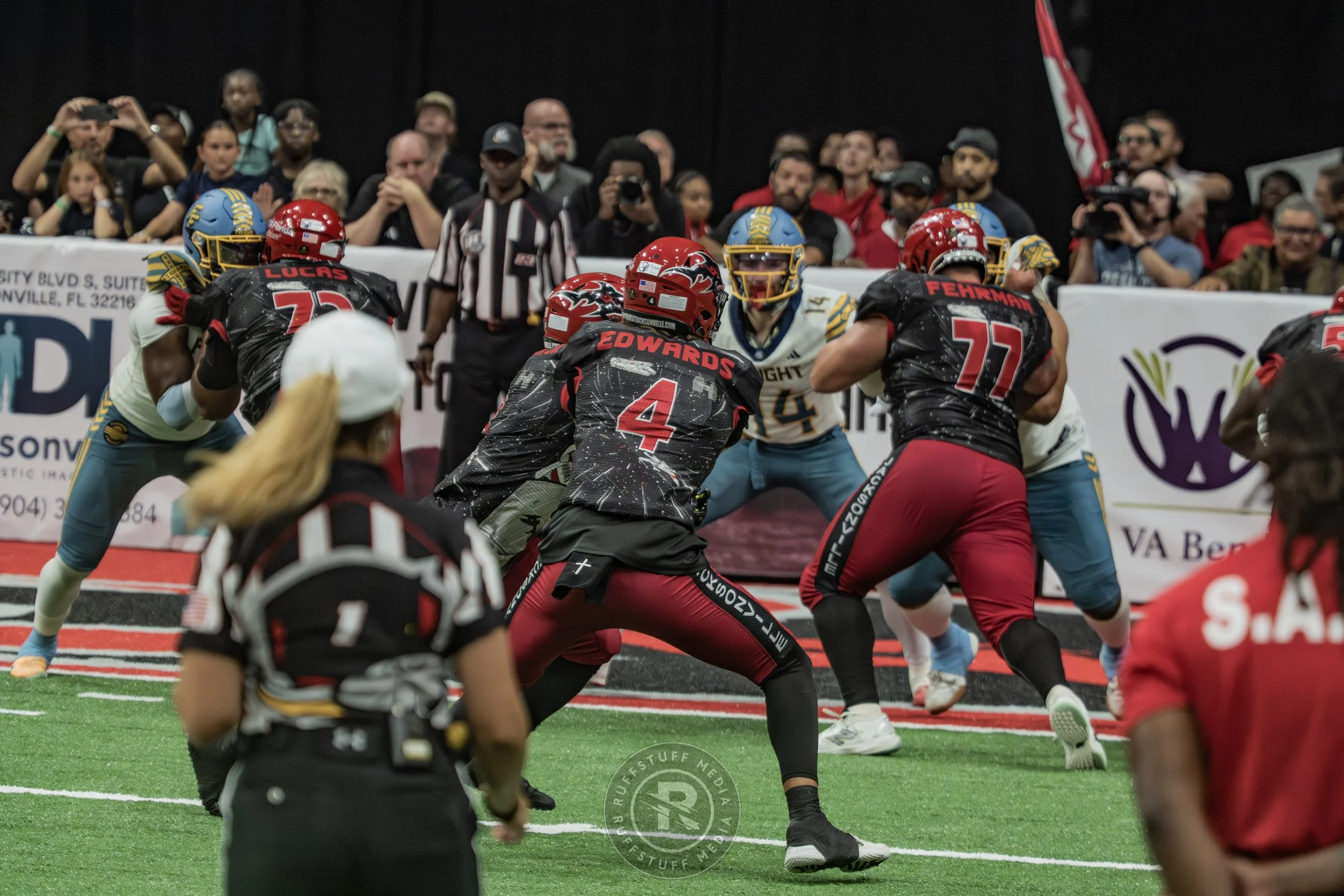 Sharks 260530-660.JPG