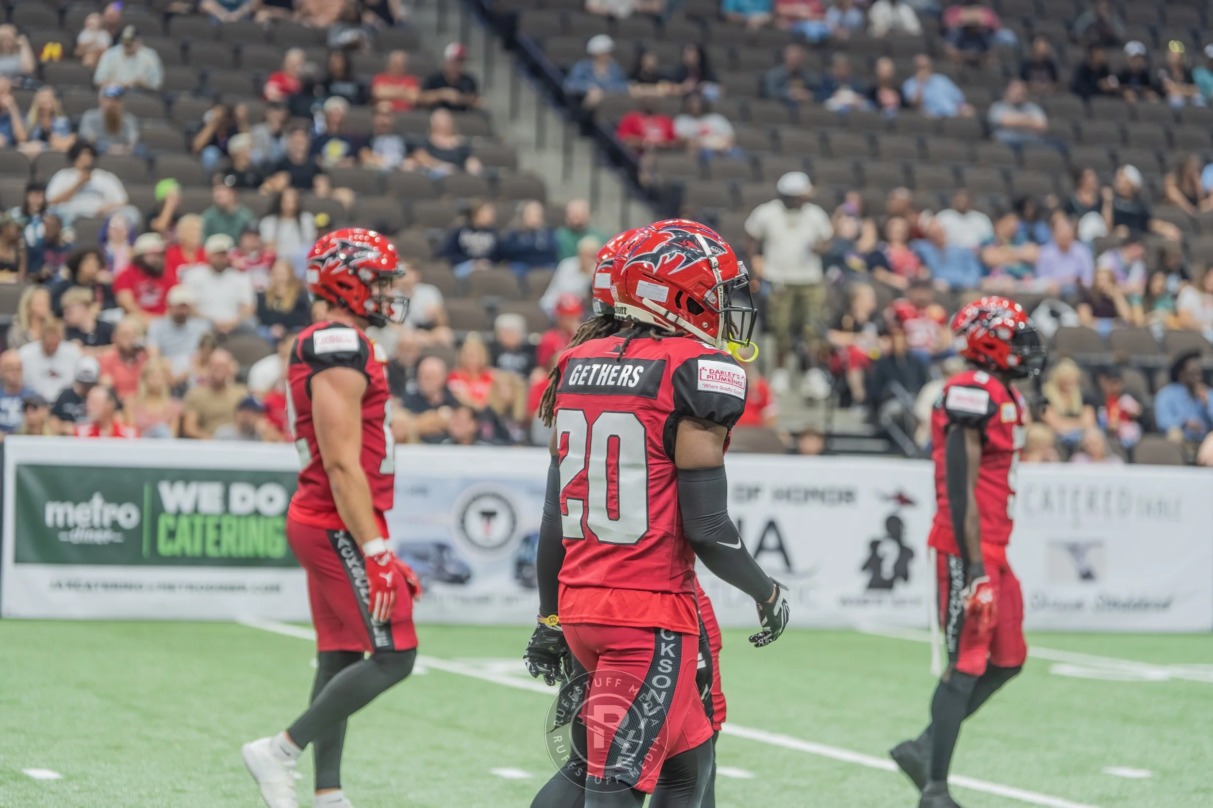 Sharks 260417-153.JPG