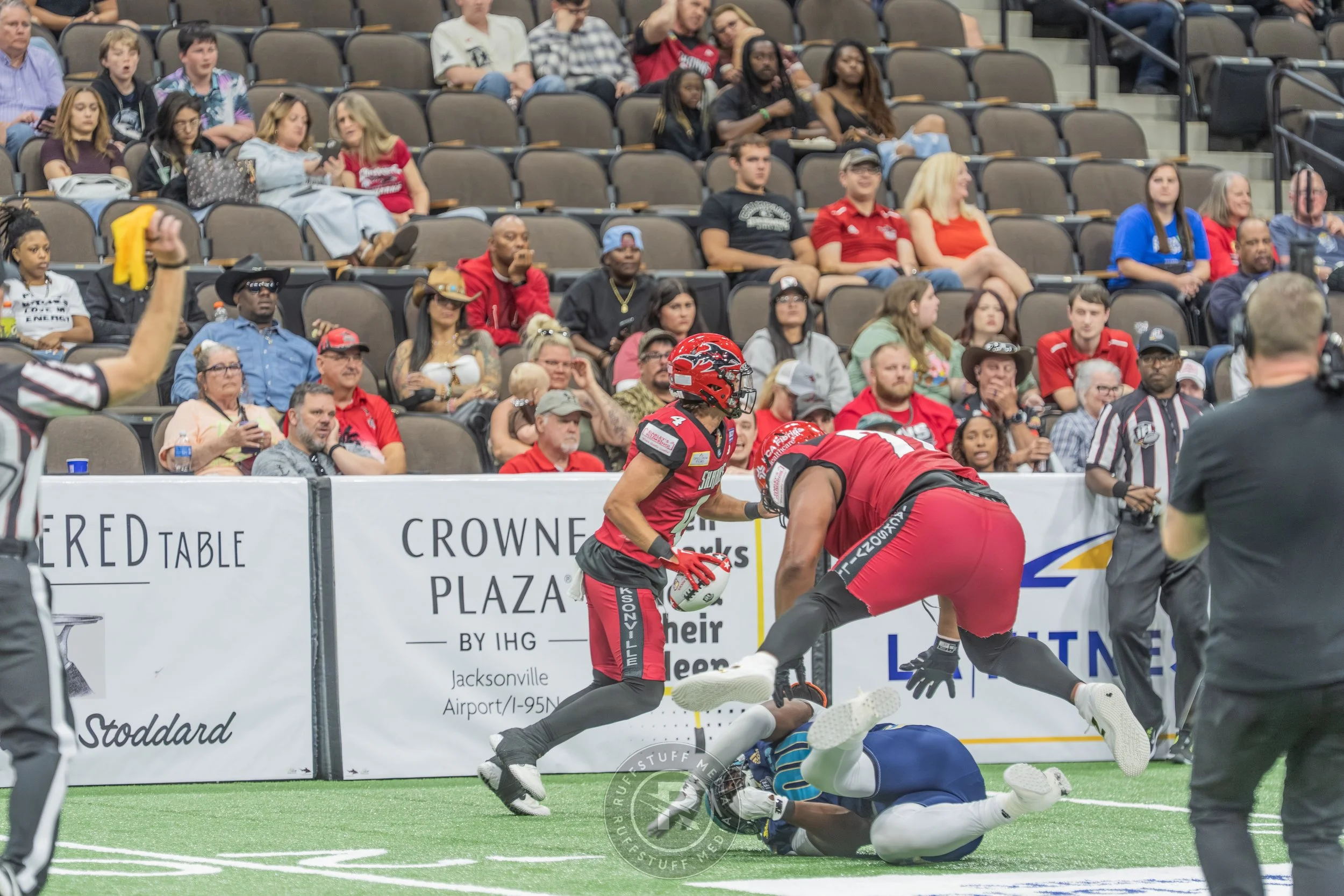 Sharks 260417-506.JPG