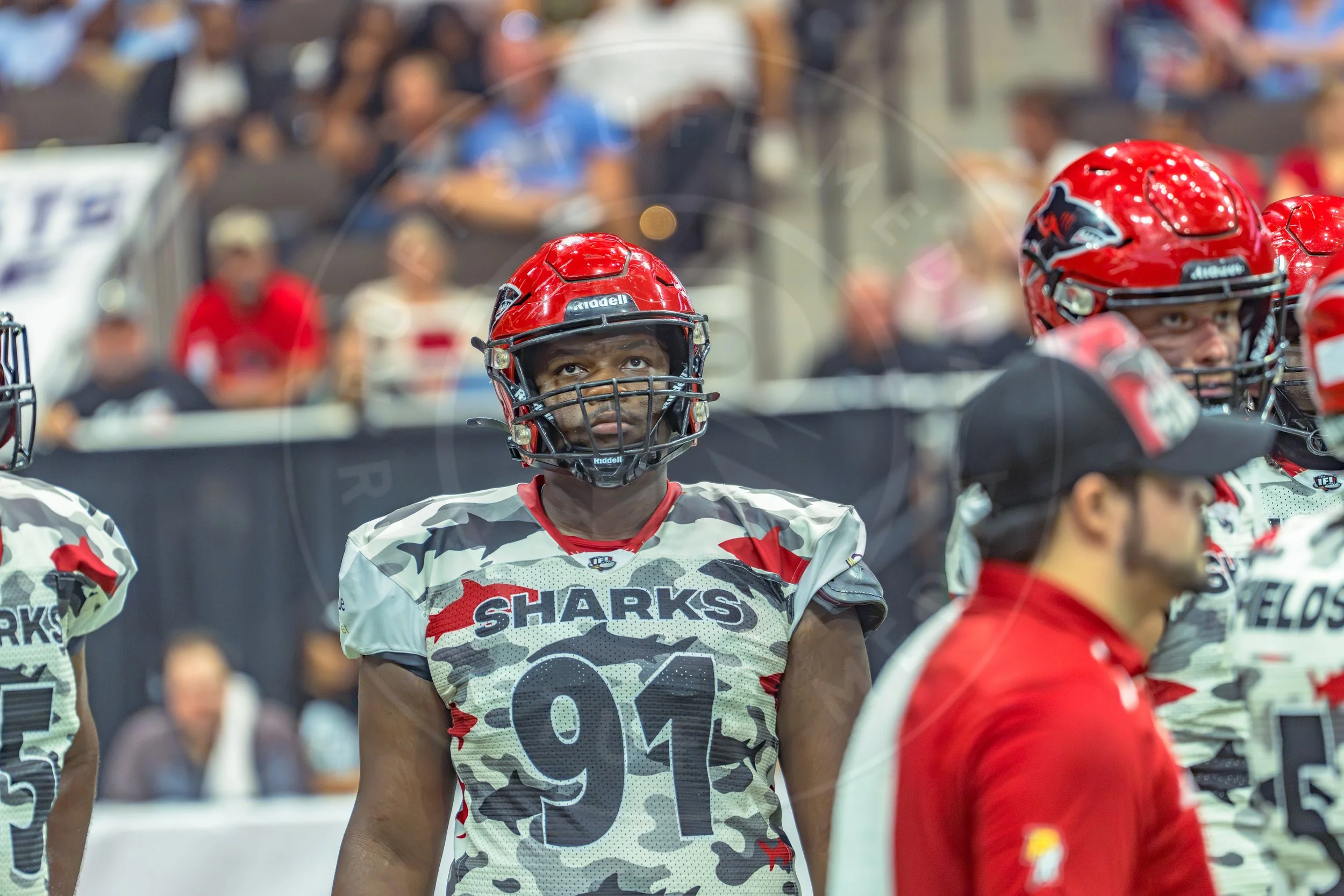 Sharks 260726-195.JPG