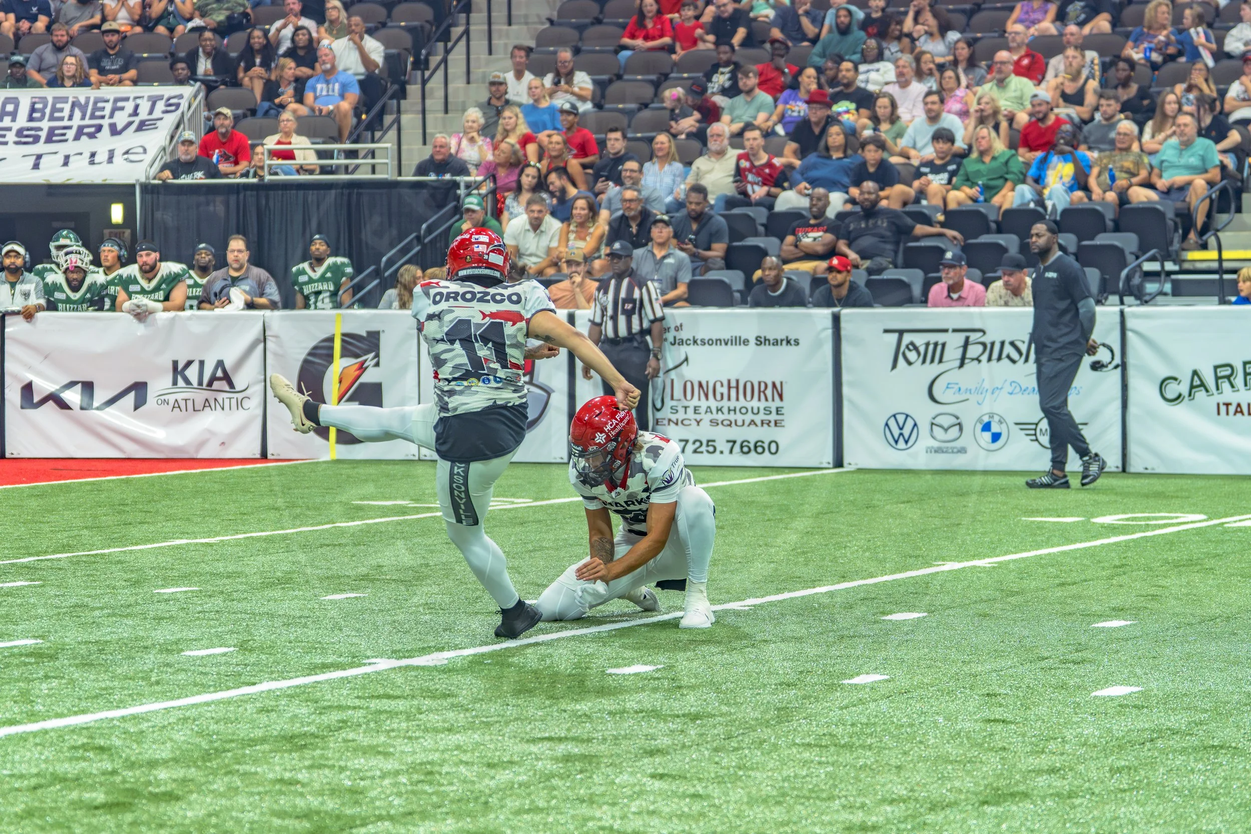 Sharks 260726-77.JPG