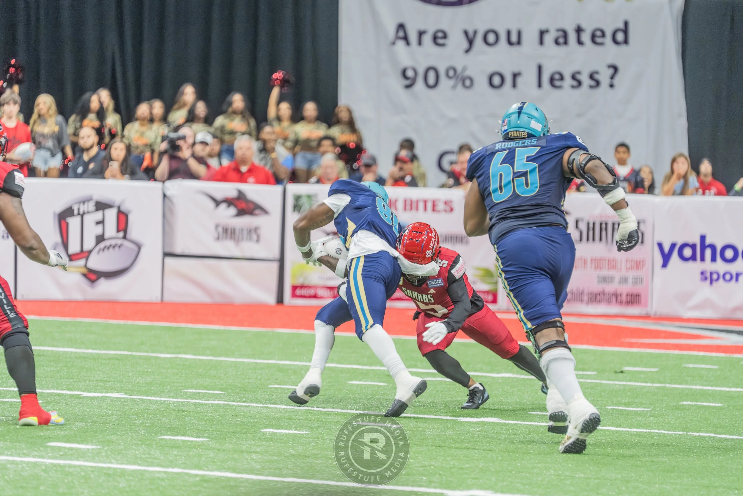 Sharks 260417-402.JPG