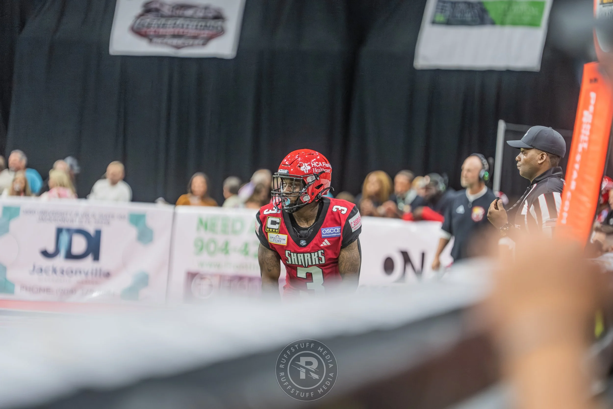 Sharks 260417-417.JPG