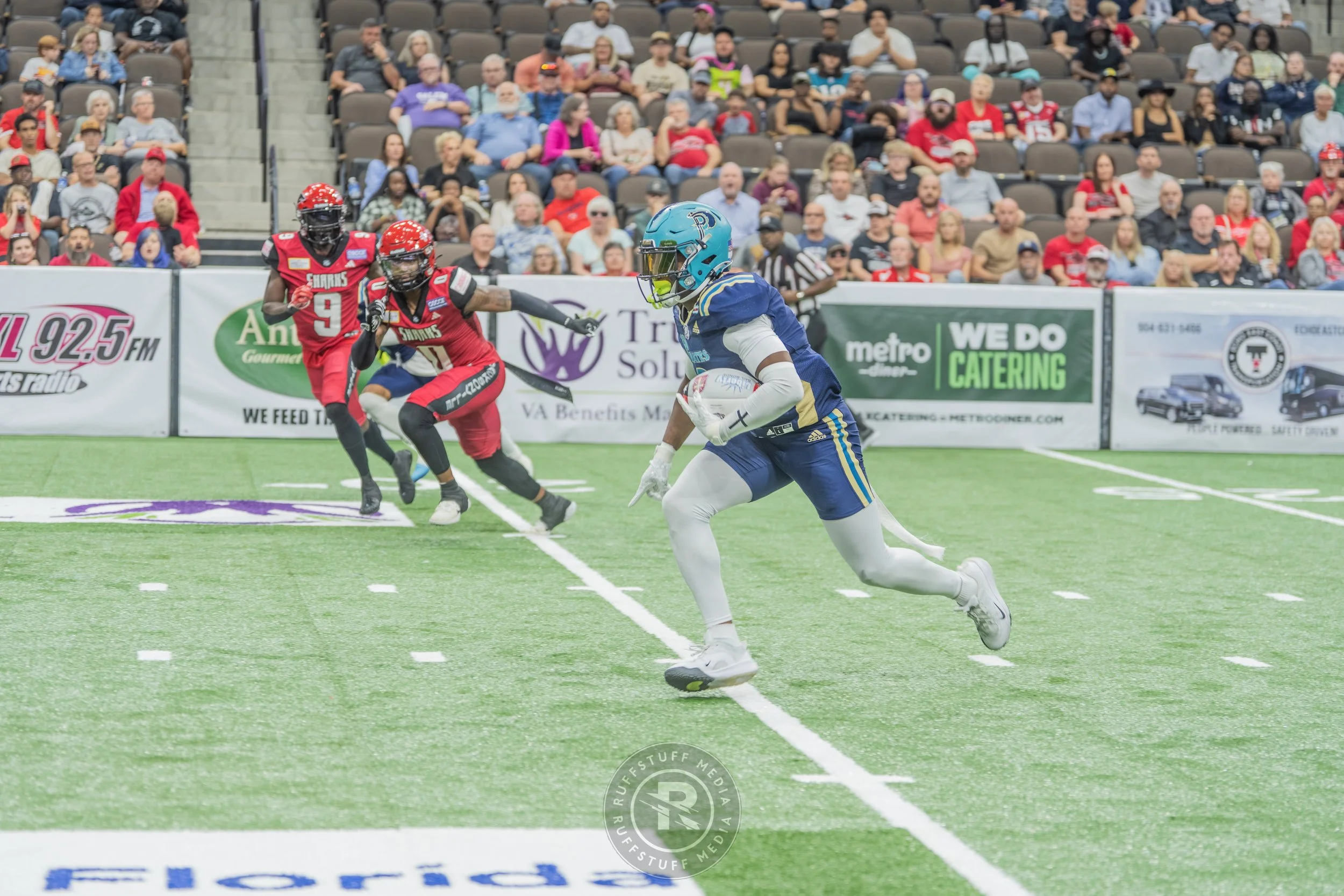 Sharks 260417-228.JPG