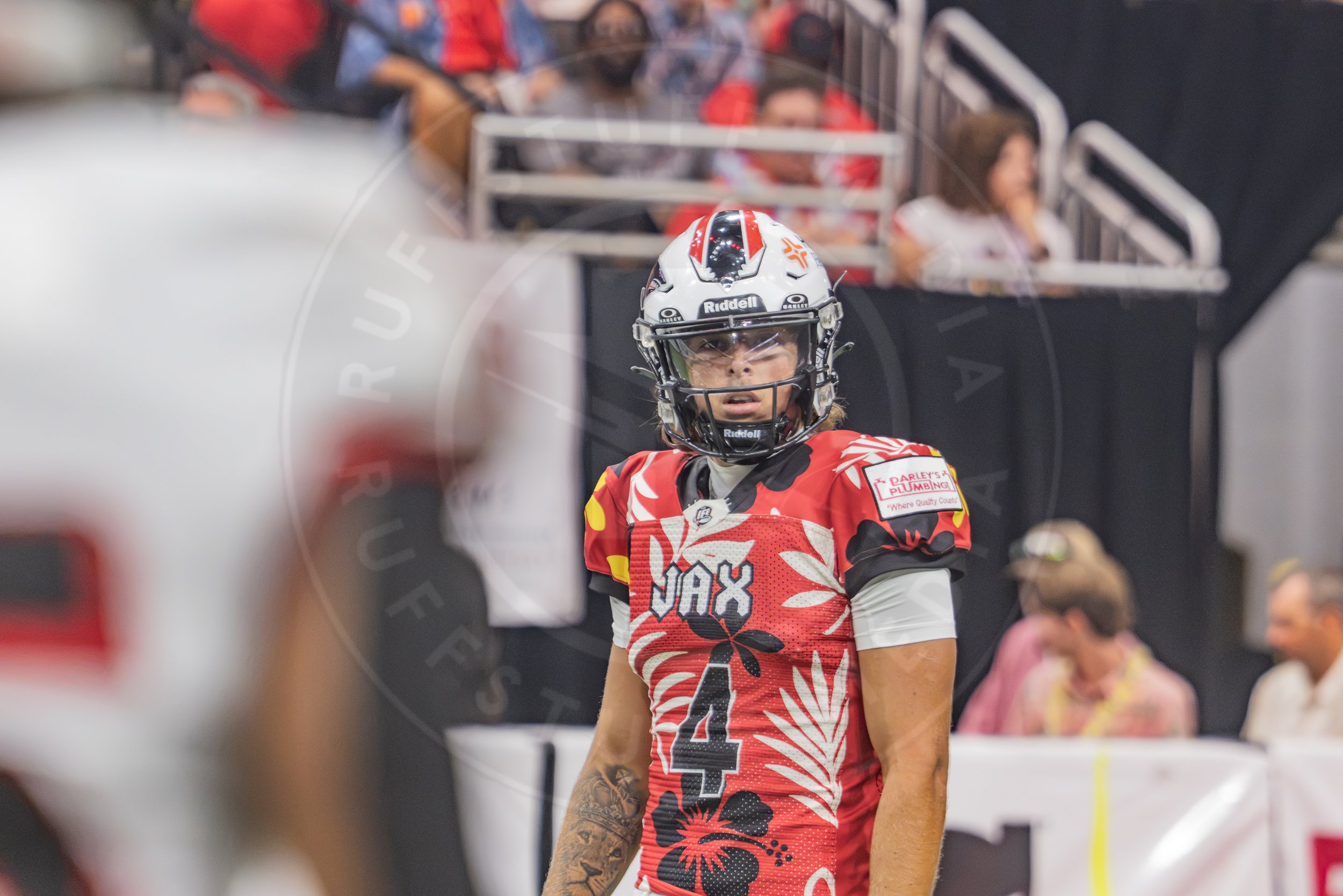 Sharks 260718-63.JPG