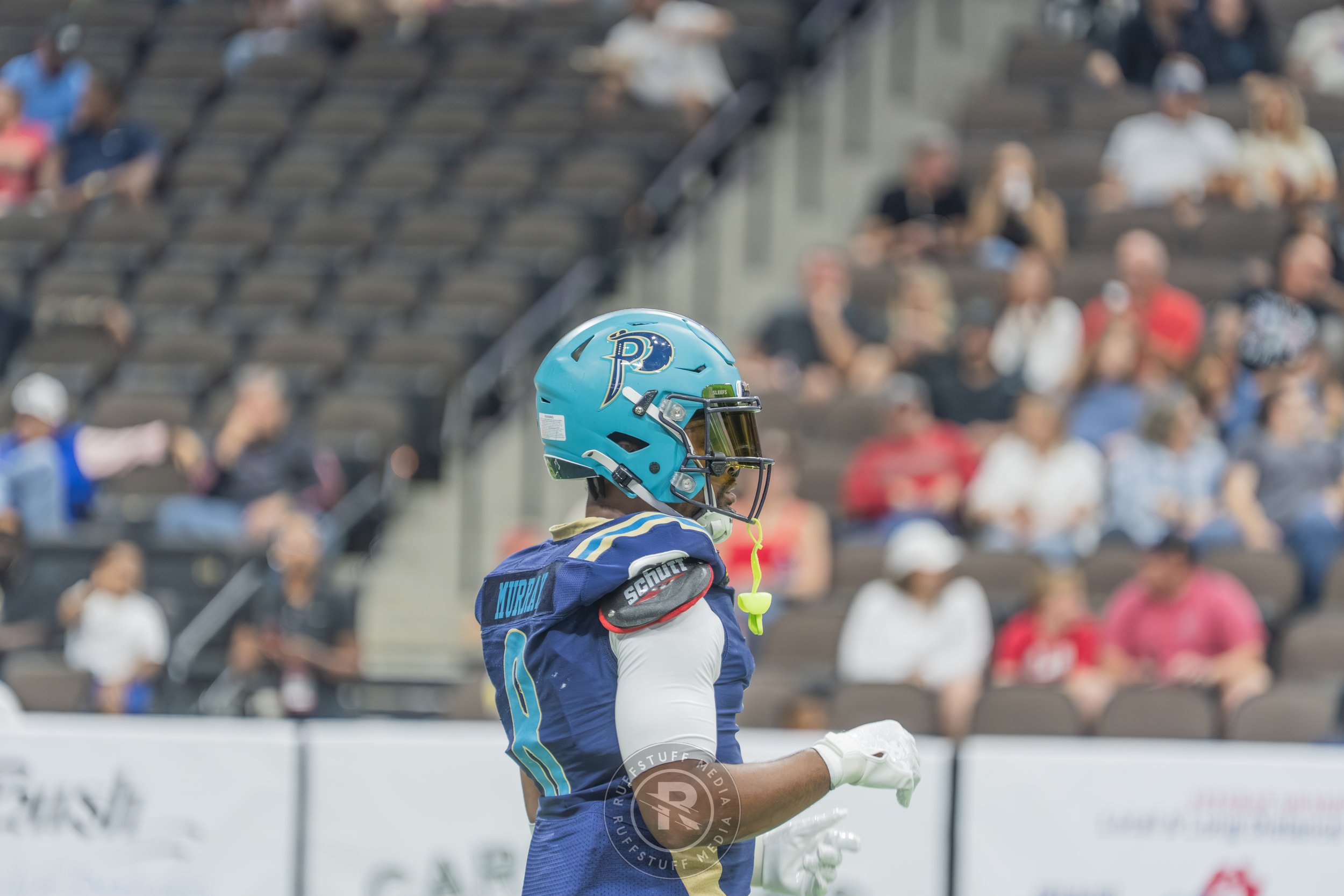 Sharks 260417-152.JPG