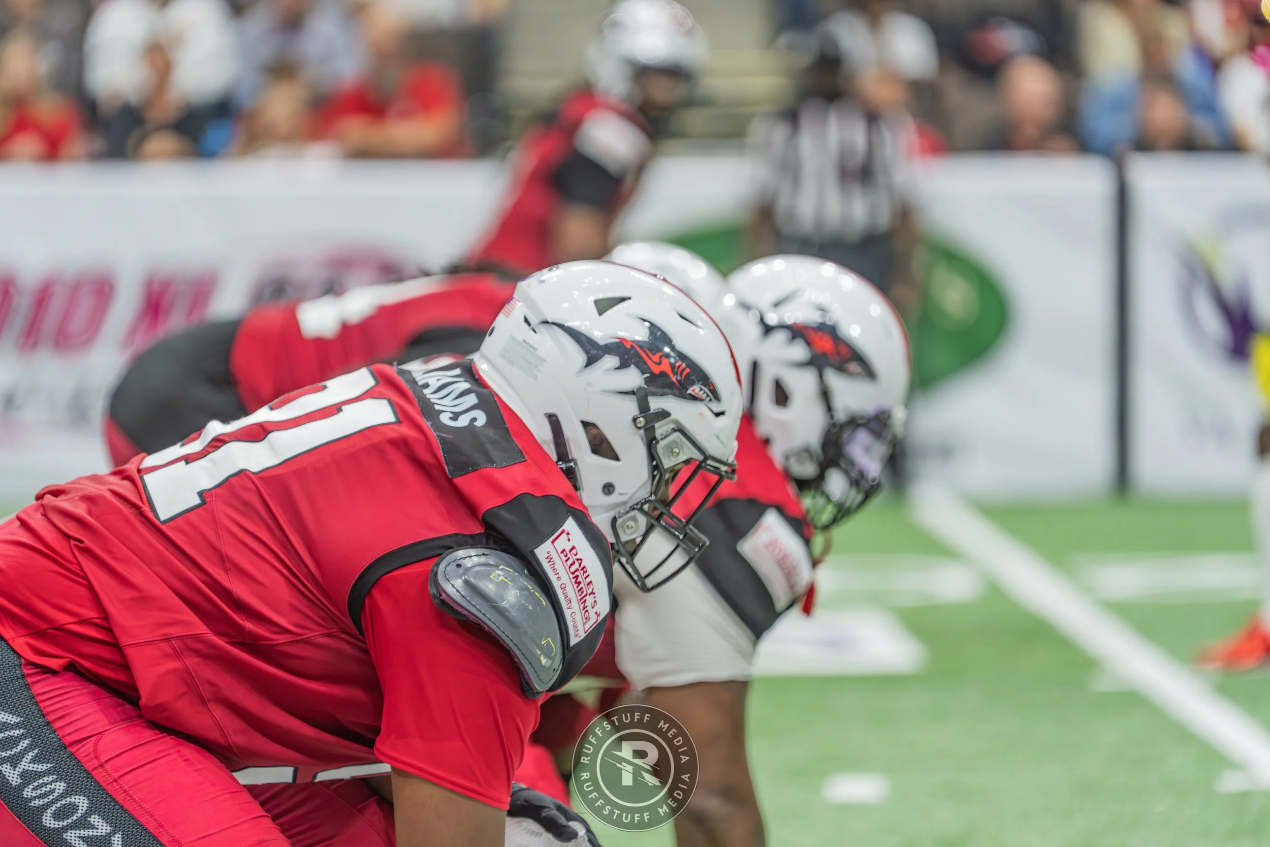 Sharks 260502-291.JPG