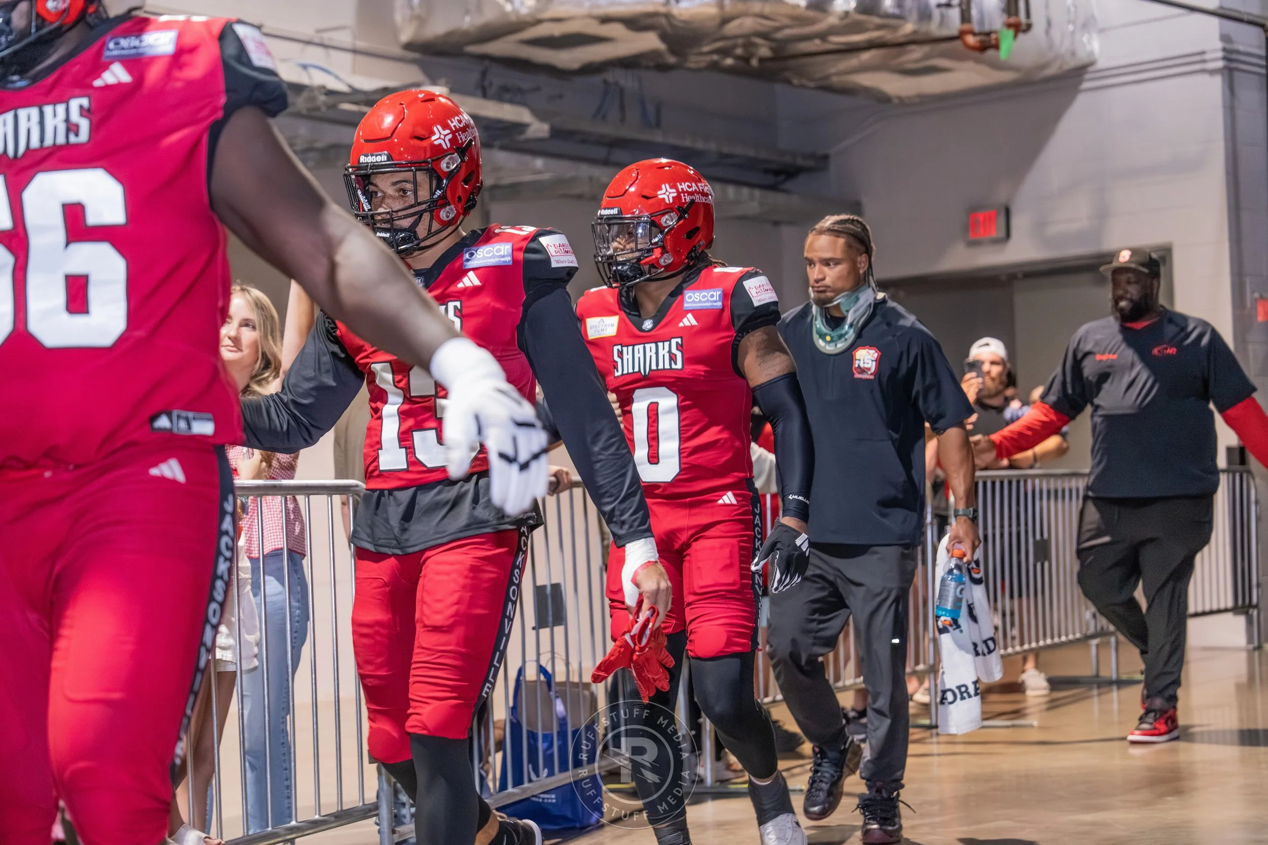 Sharks 260417-35_resize.JPG