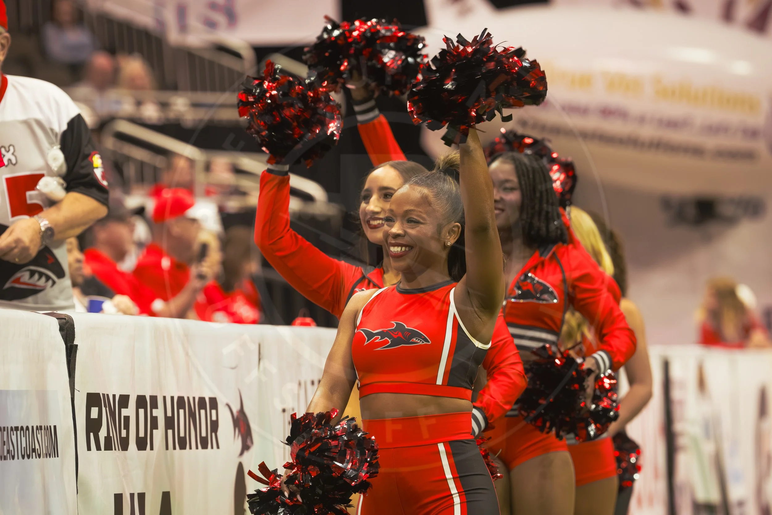 Sharks 260801-10.JPG