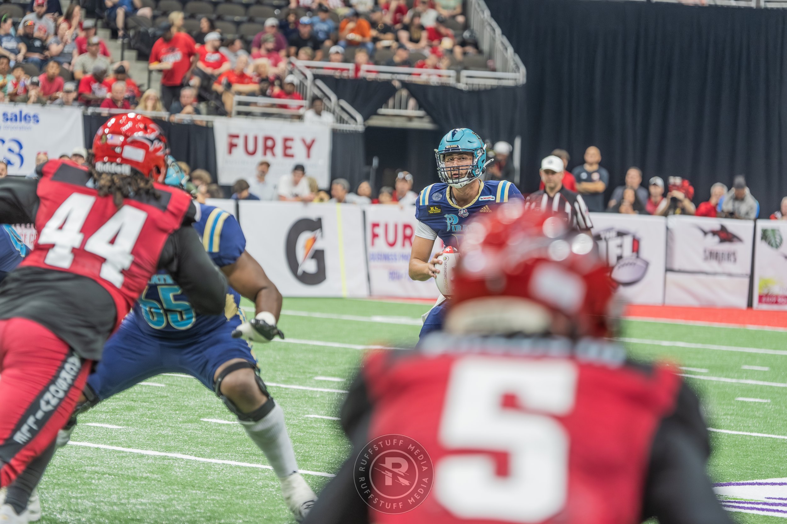 Sharks 260417-225.JPG