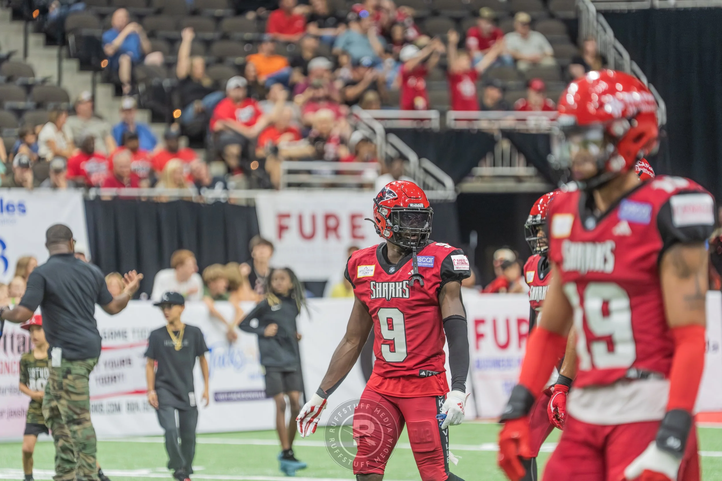 Sharks 260417-409.JPG