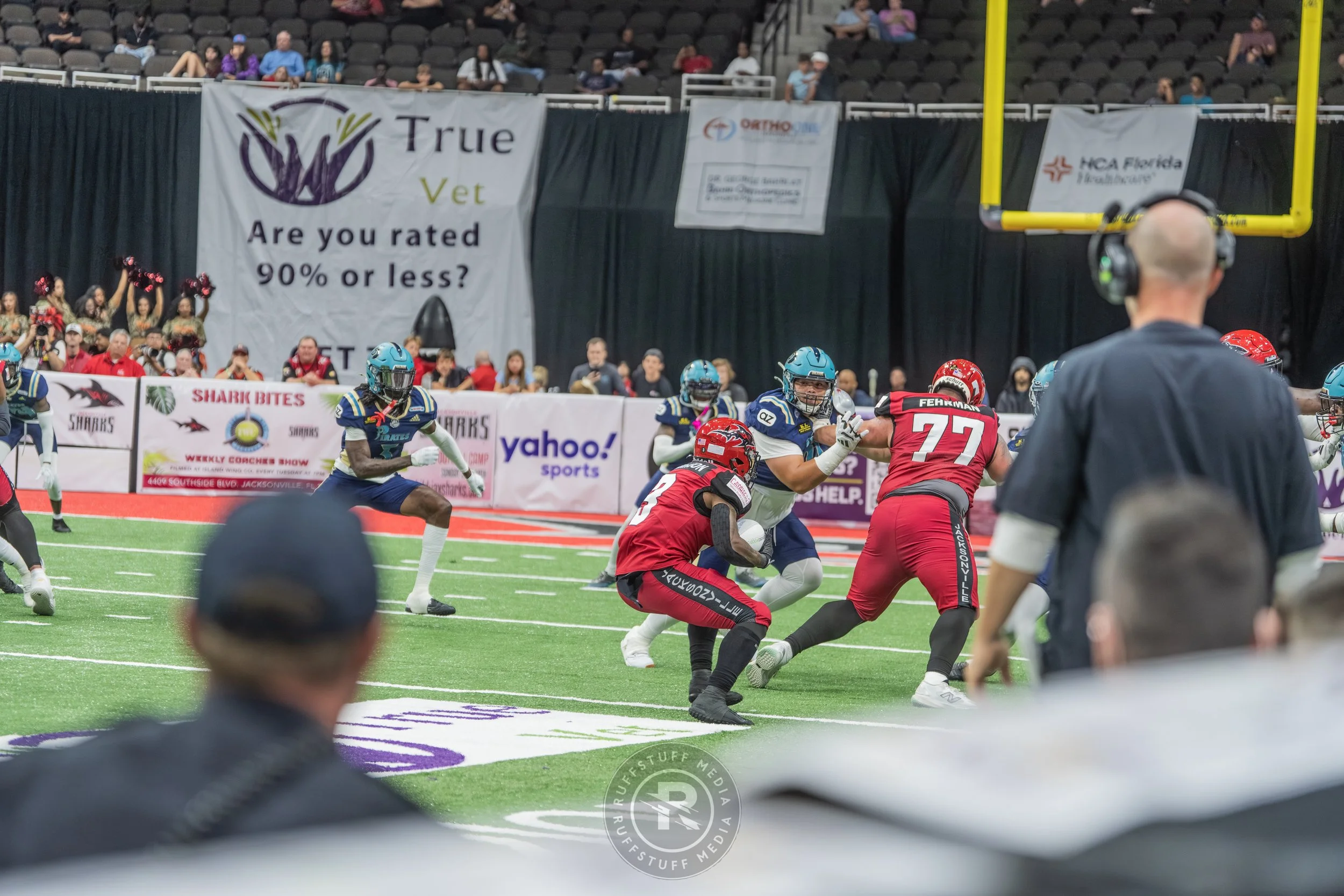 Sharks 260417-502.JPG