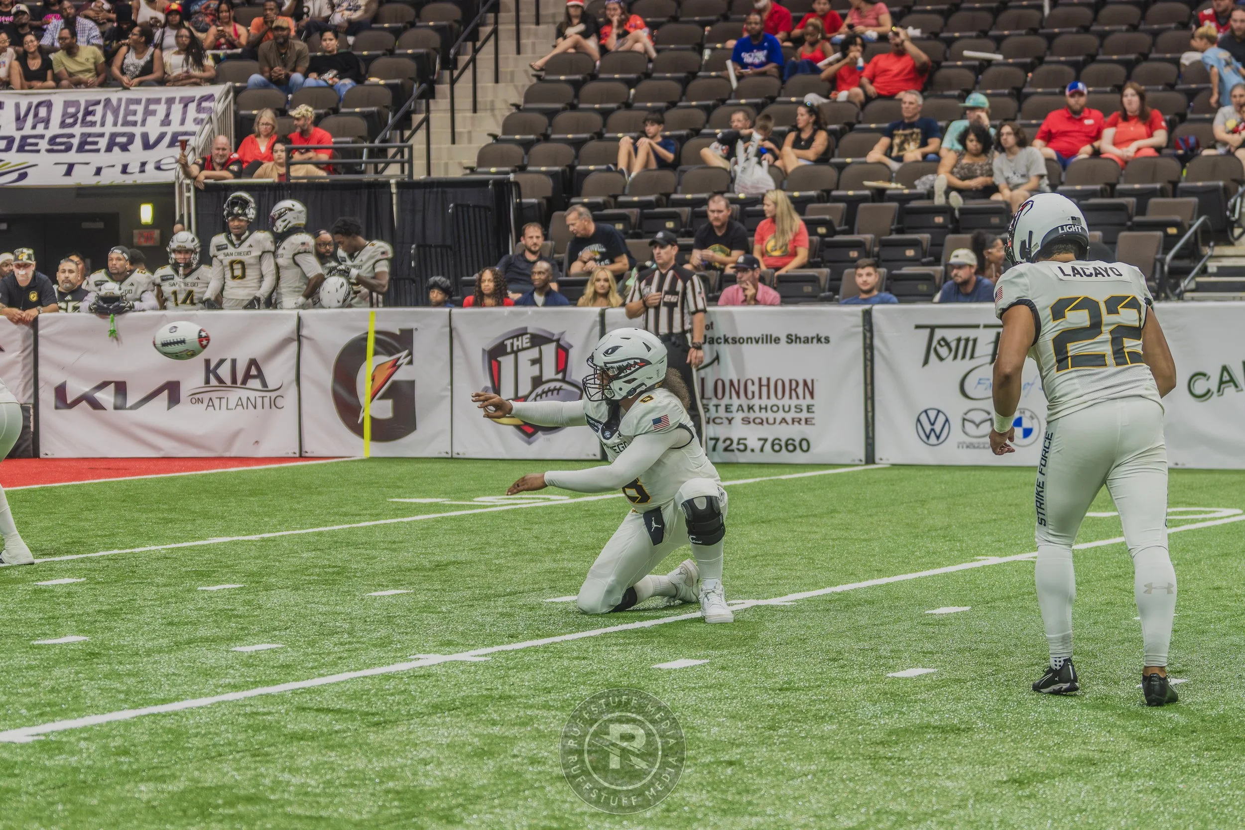 Sharks 260628-567.JPG