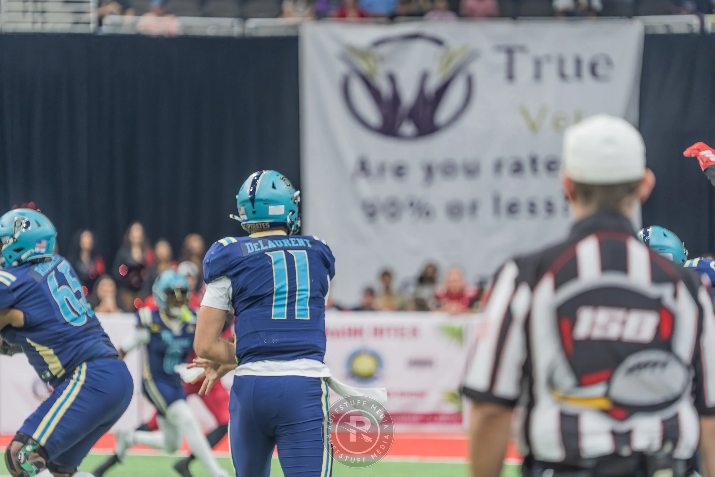 Sharks 260417-134.JPG