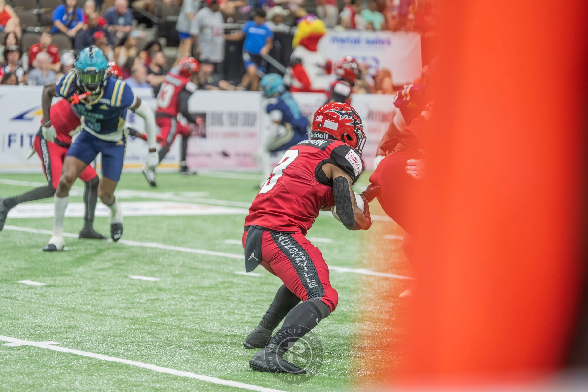 Sharks 260417-497.JPG