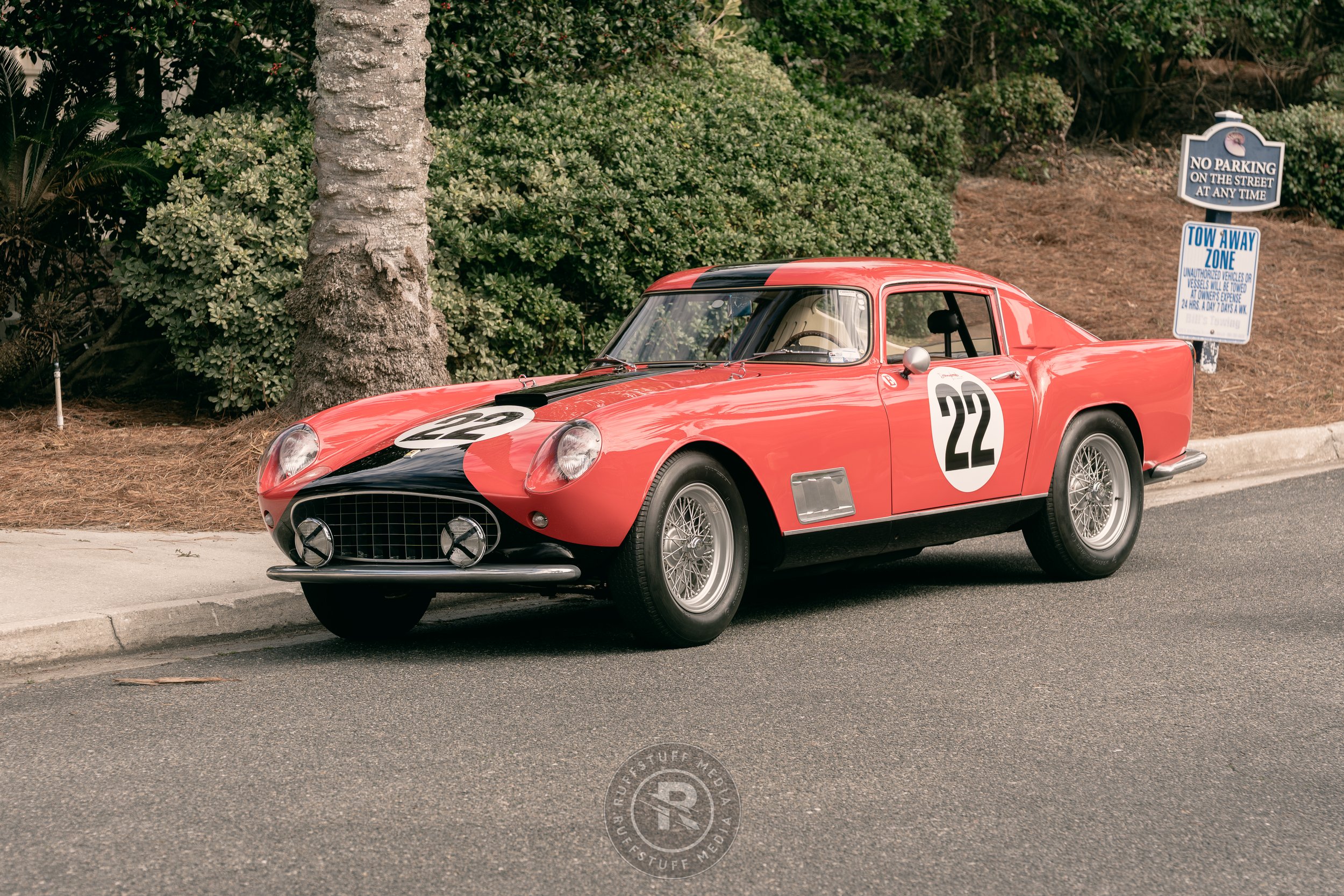 Amelia 260306-18.JPG