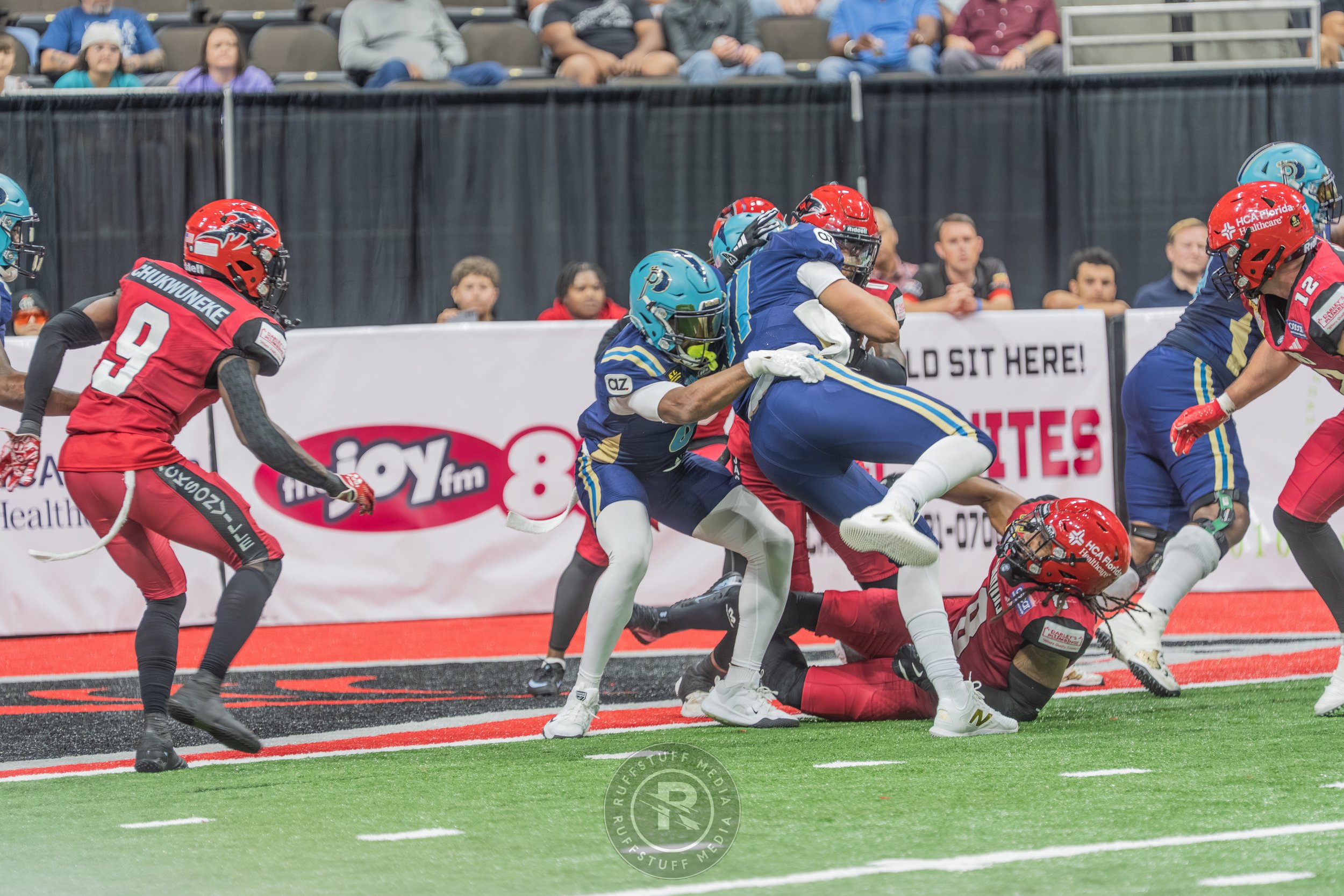 Sharks 260417-245.JPG