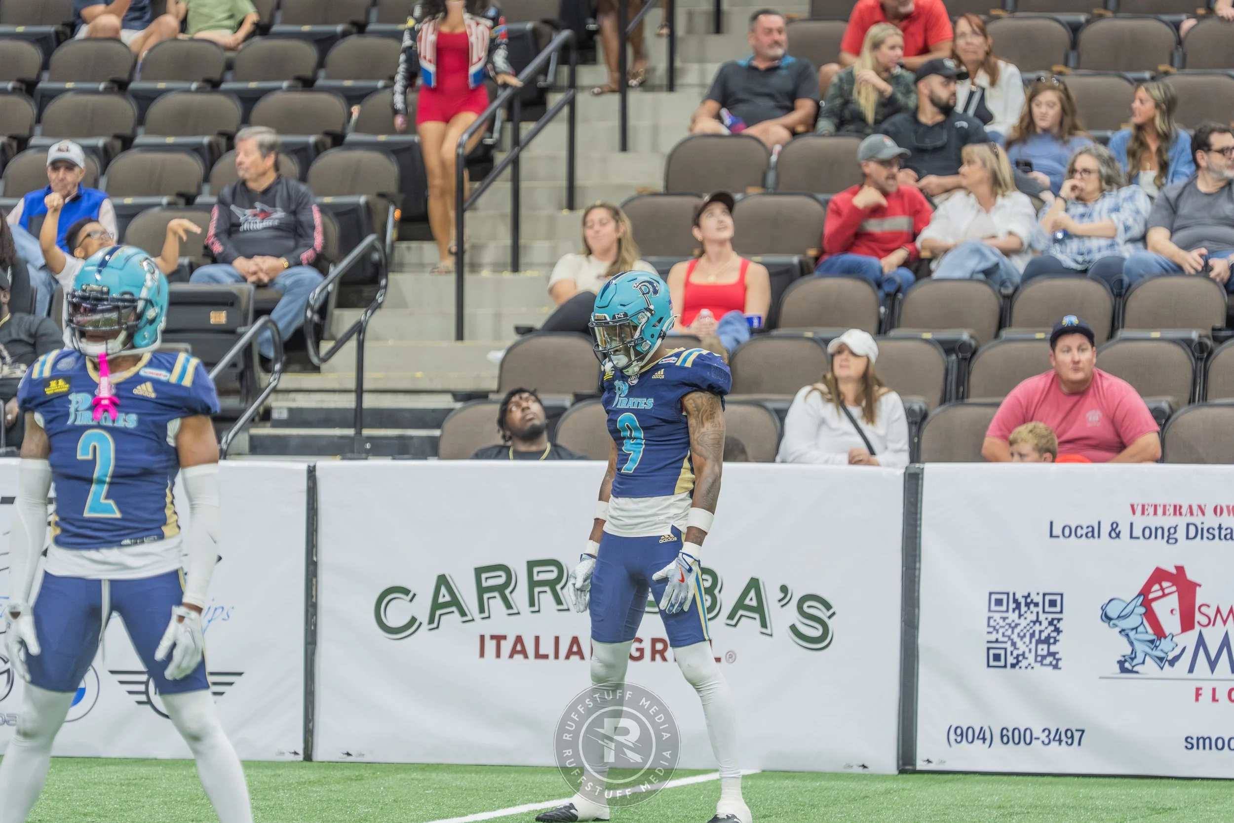 Sharks 260417-527.JPG