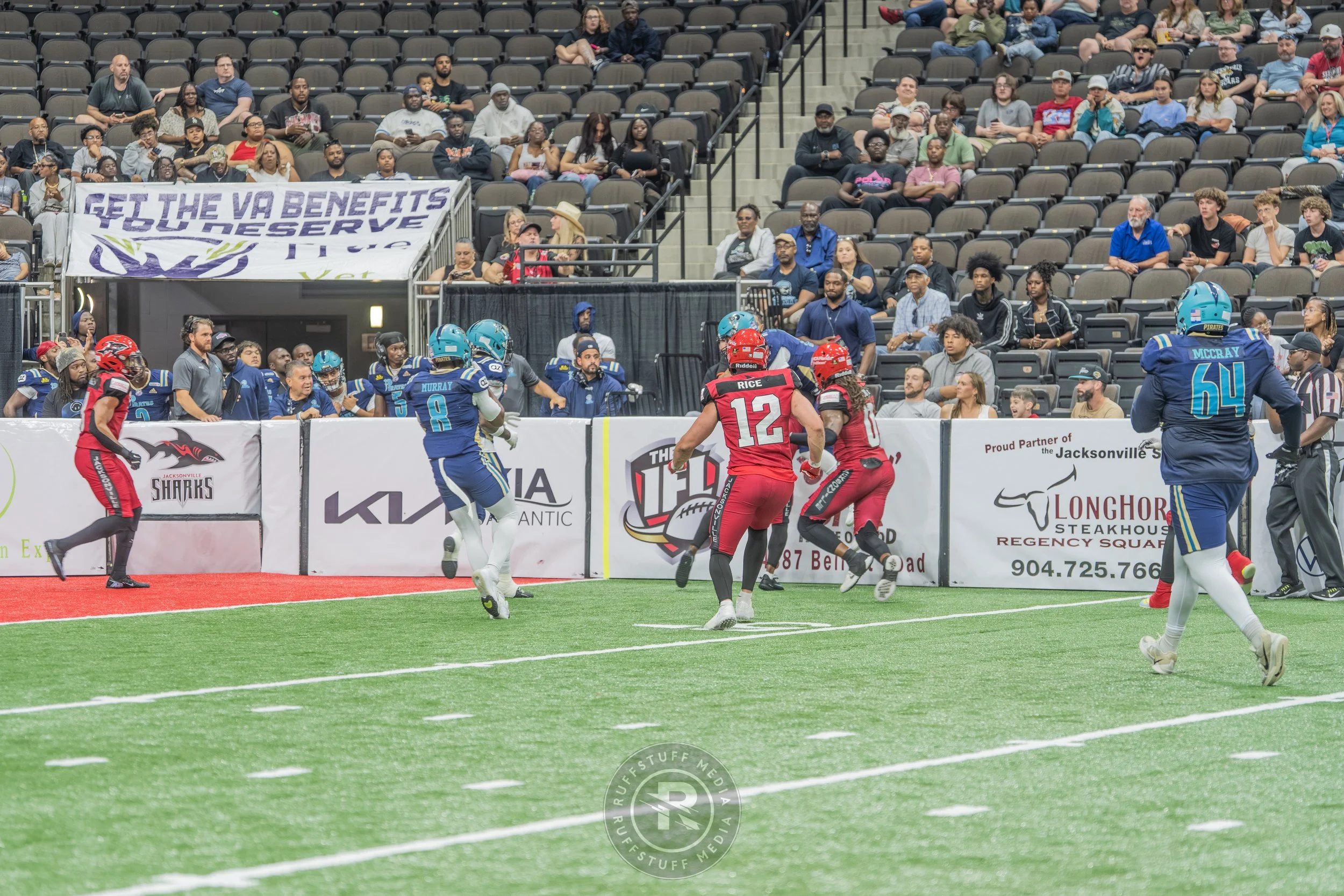 Sharks 260417-238.JPG