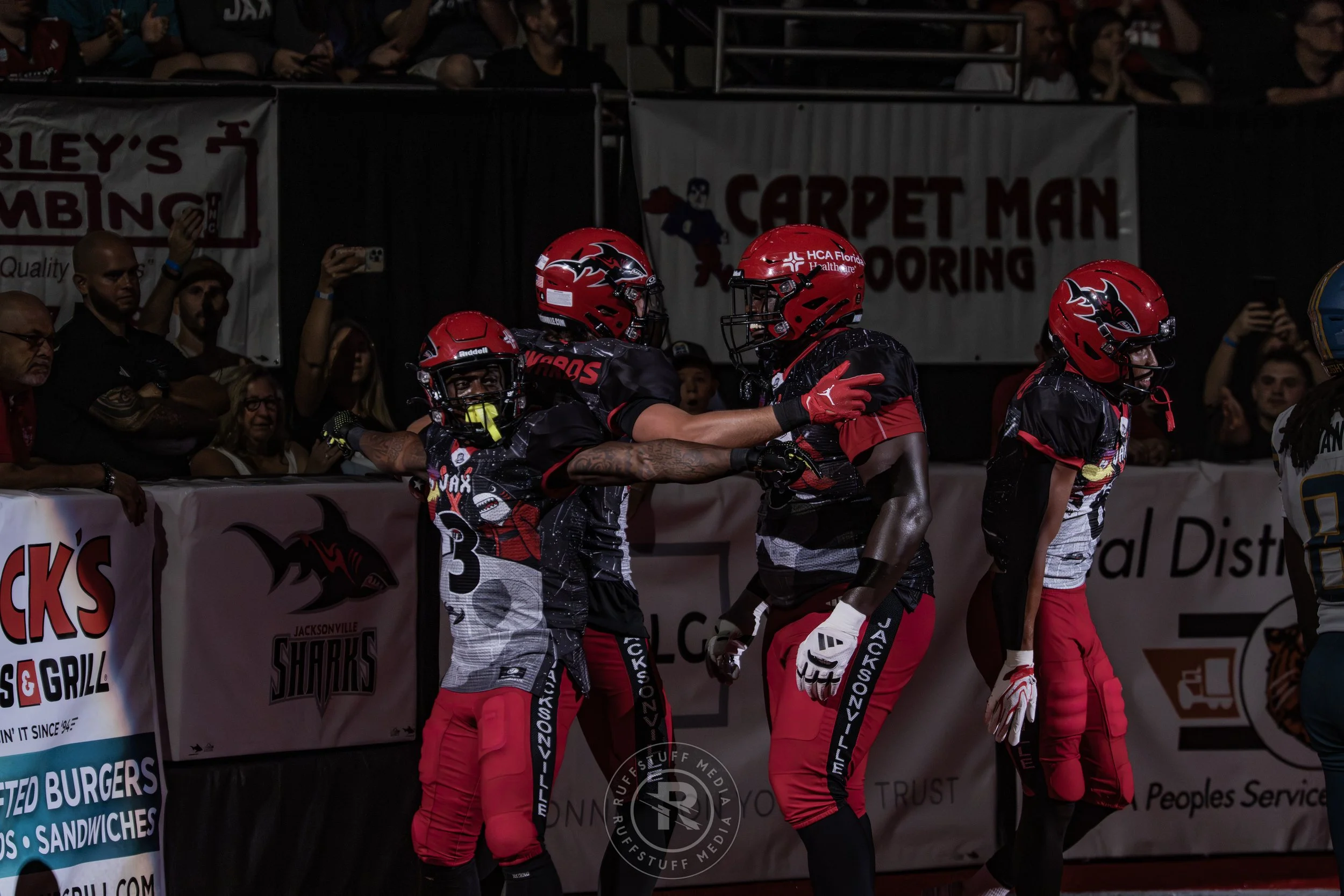 Sharks 260530-510.JPG