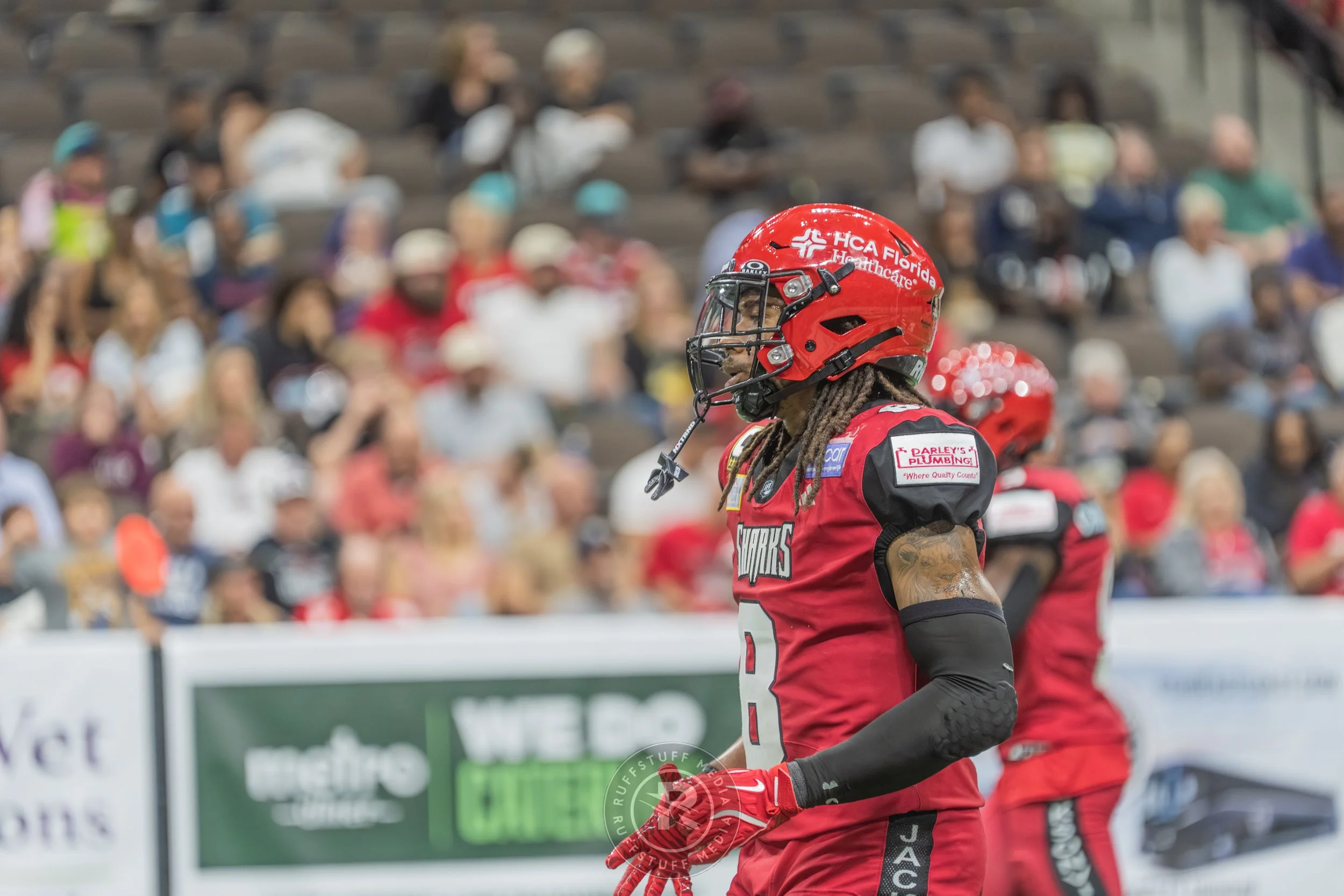 Sharks 260417-411.JPG