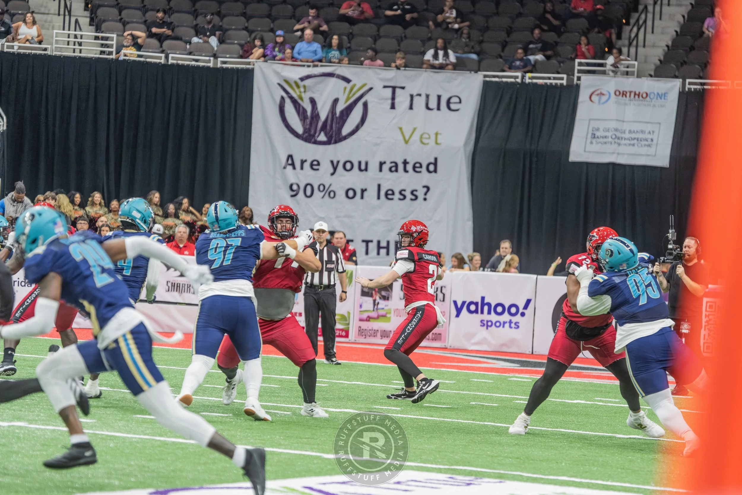 Sharks 260417-418_resize.JPG